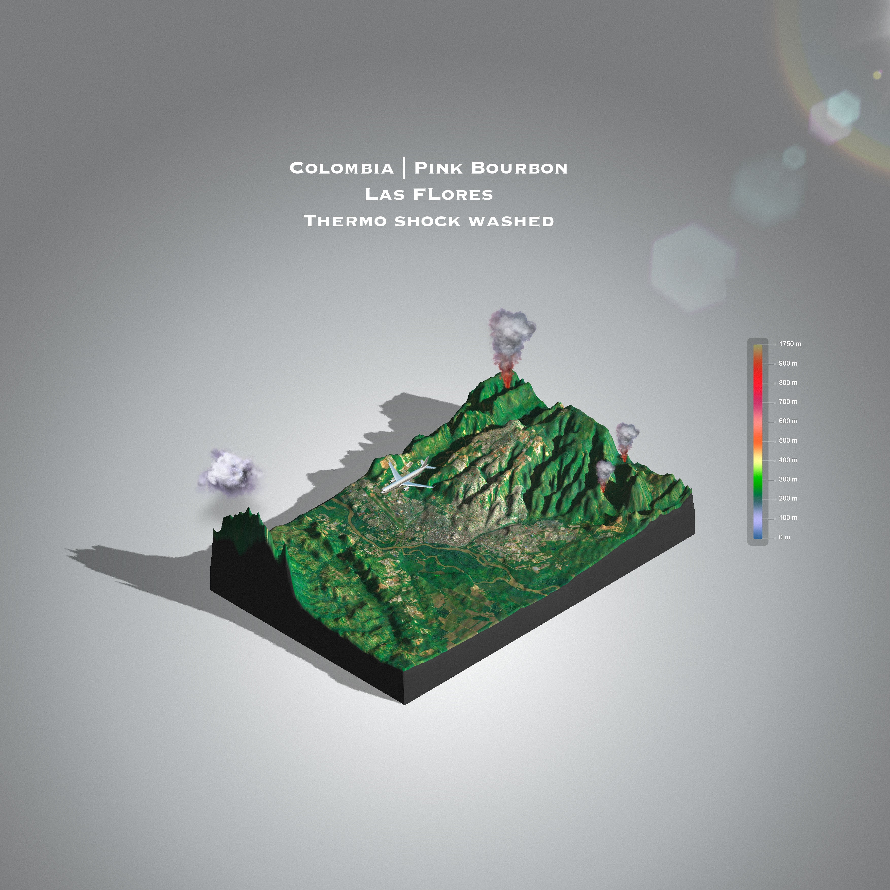 Colombia Pink bourbon | Las Flores | Thermo shock washed