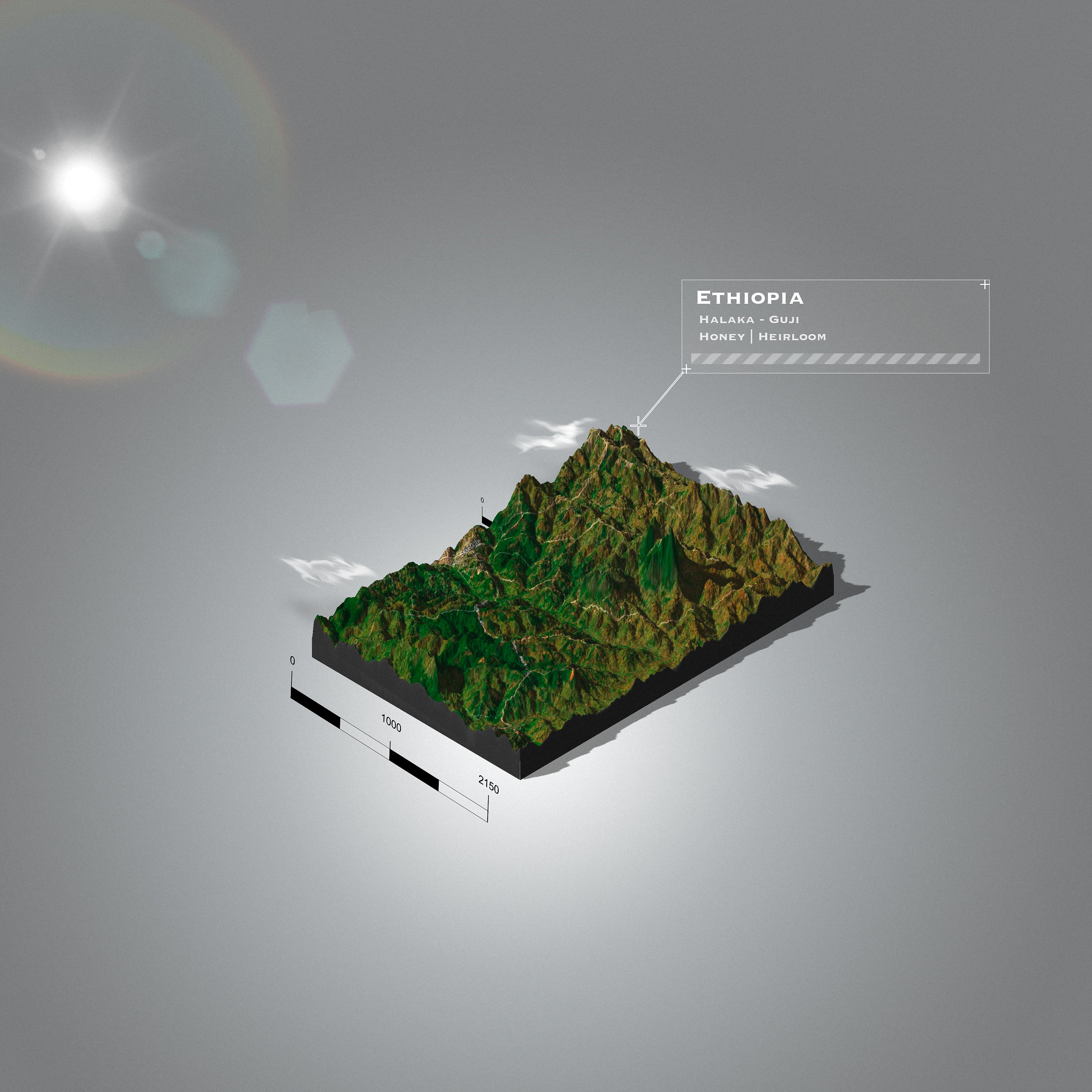 Ethiopia Halaka | Guji Honey (Single Origin Filter)