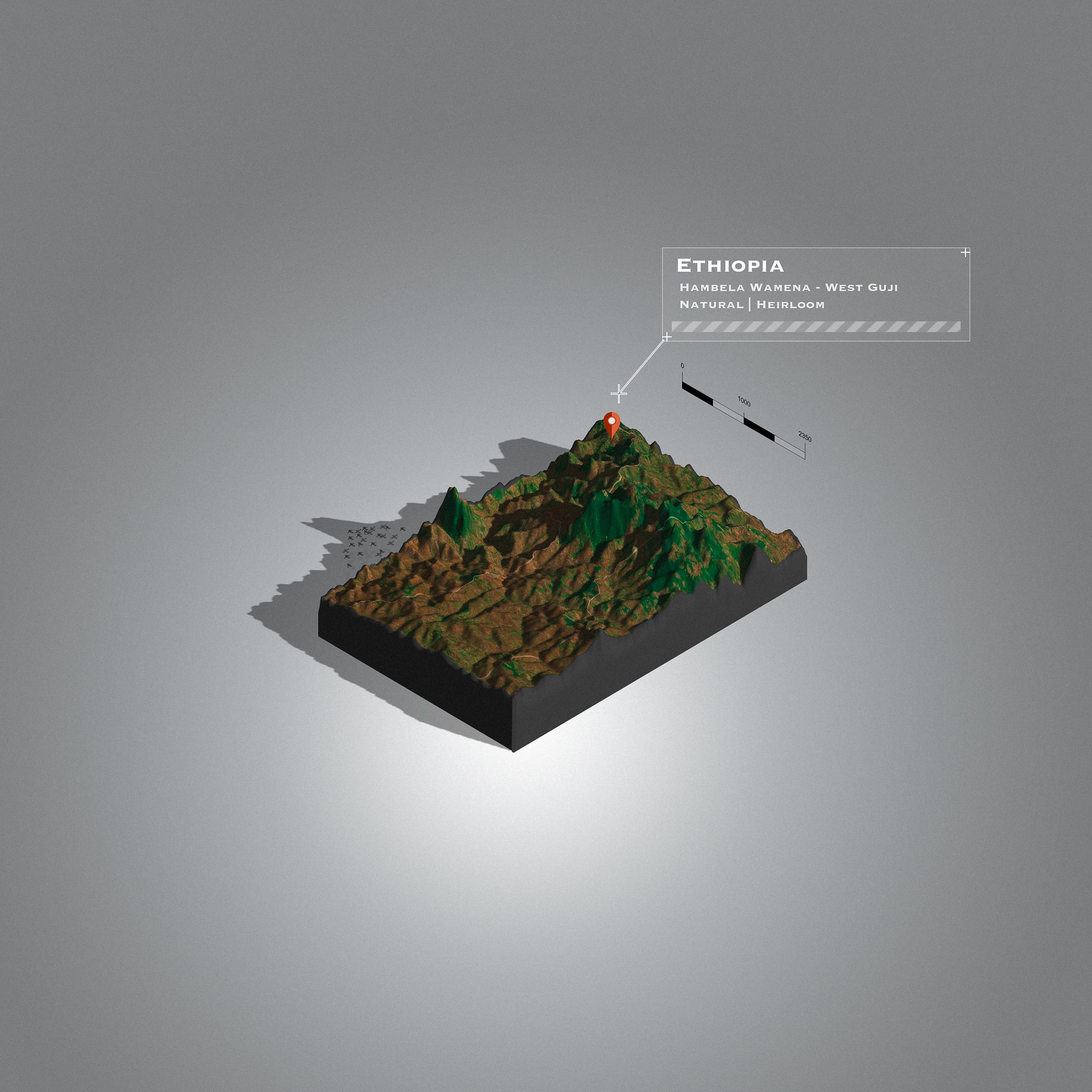 Ethiopia Hambela Wamena | West Guji washed (Single Origin Espresso)