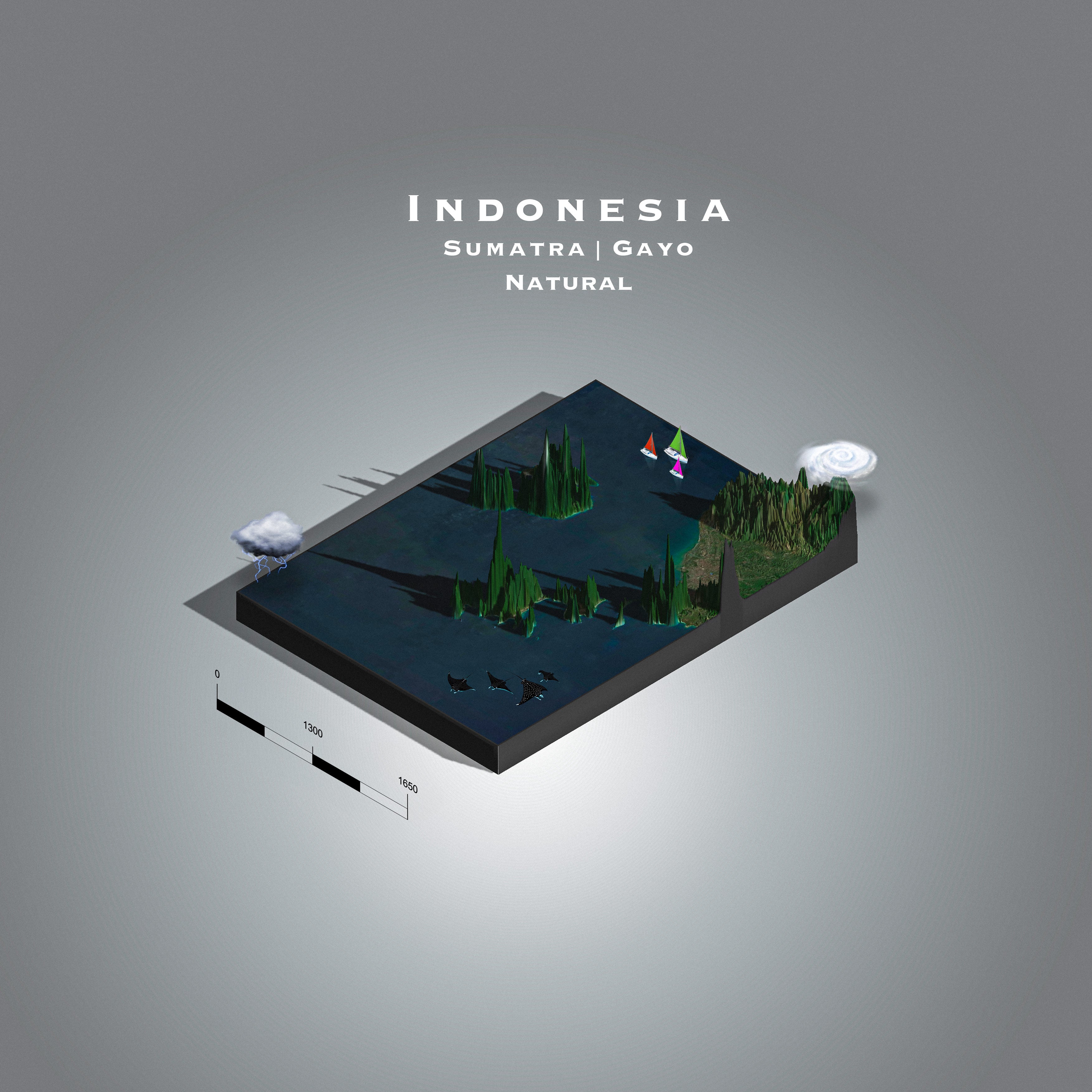 Indonesia Gayo | Sumatra Natural (Single Origin Filter)