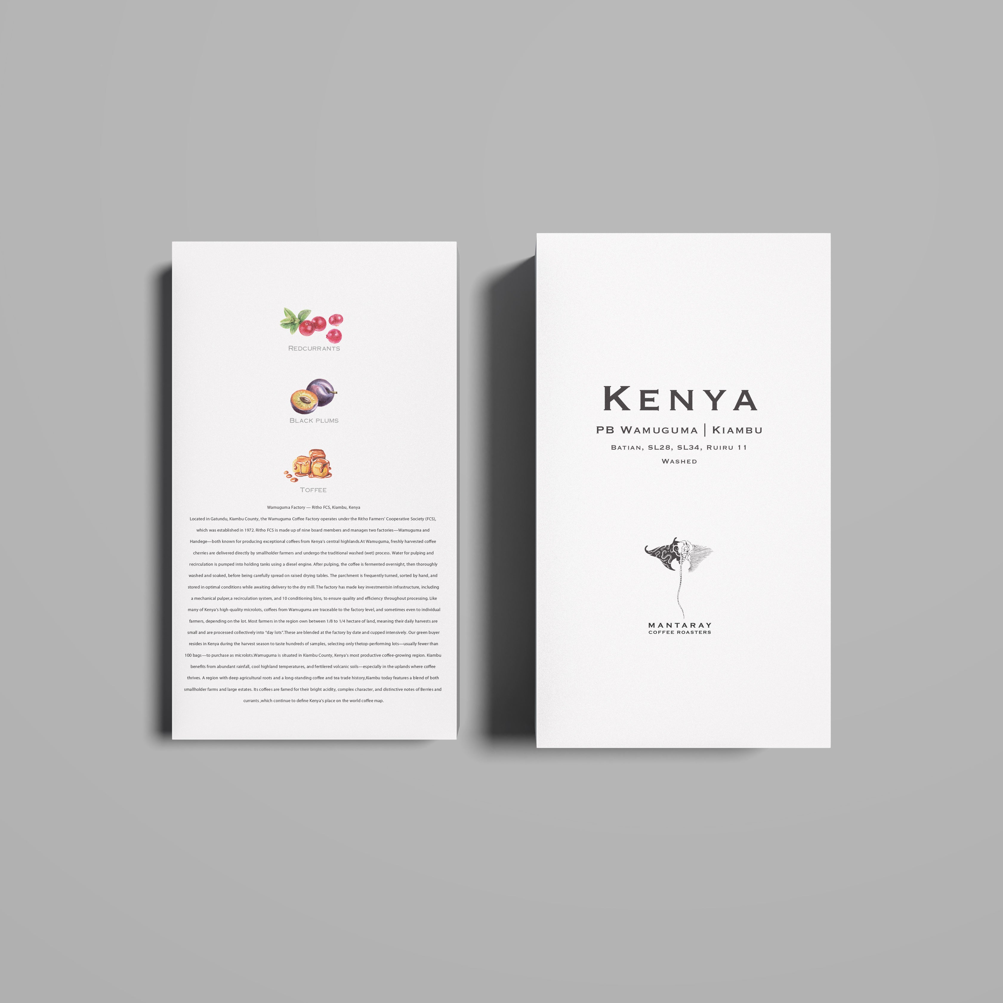 Kenya Peaberry Wamuguma | Kiambu (Single Origin Filter)