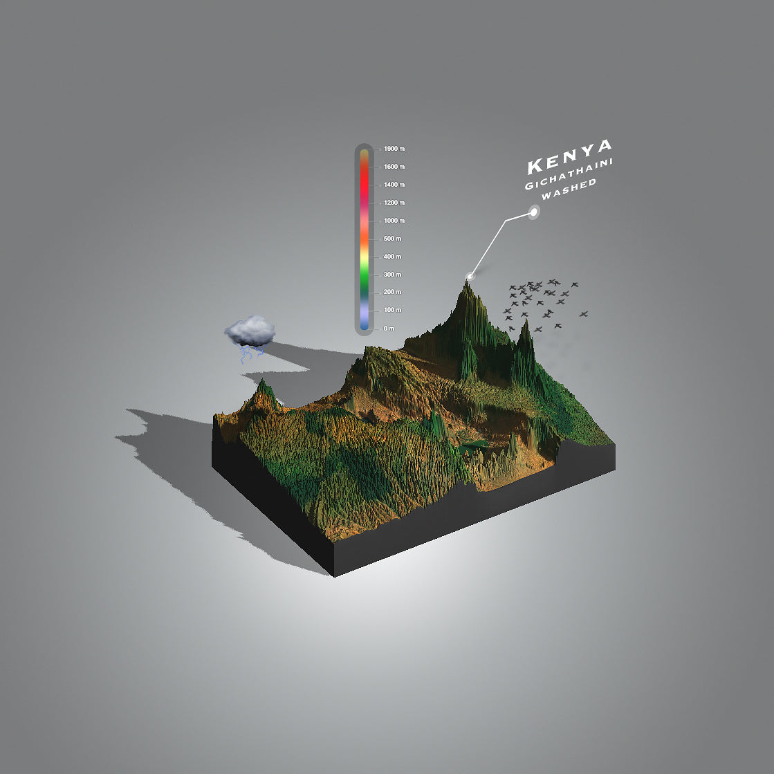 Kenya Gichathaini Washed  (Single Origin Espresso)