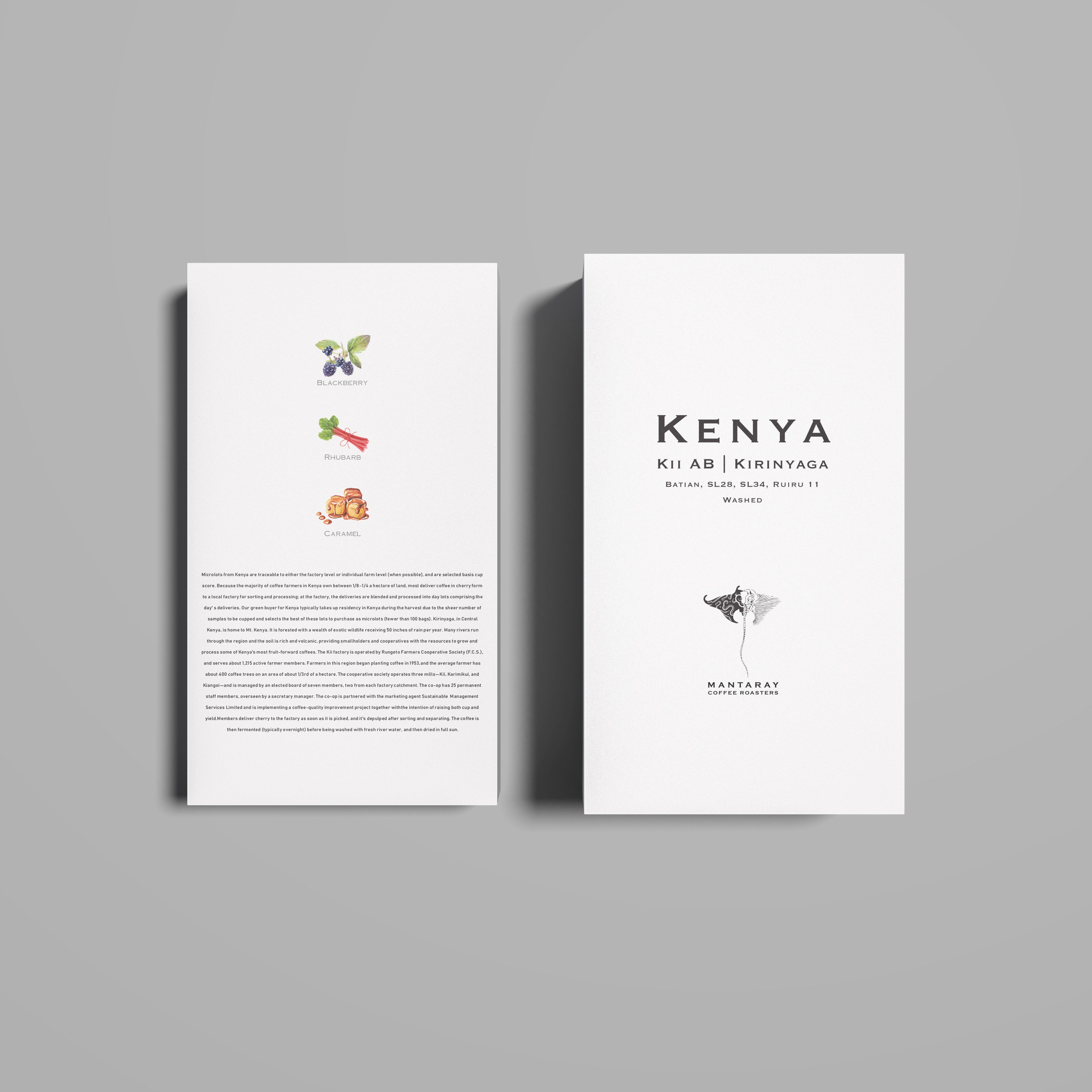 Kenya Kii AB Kirinyaga Washed (Single Origin Filter)