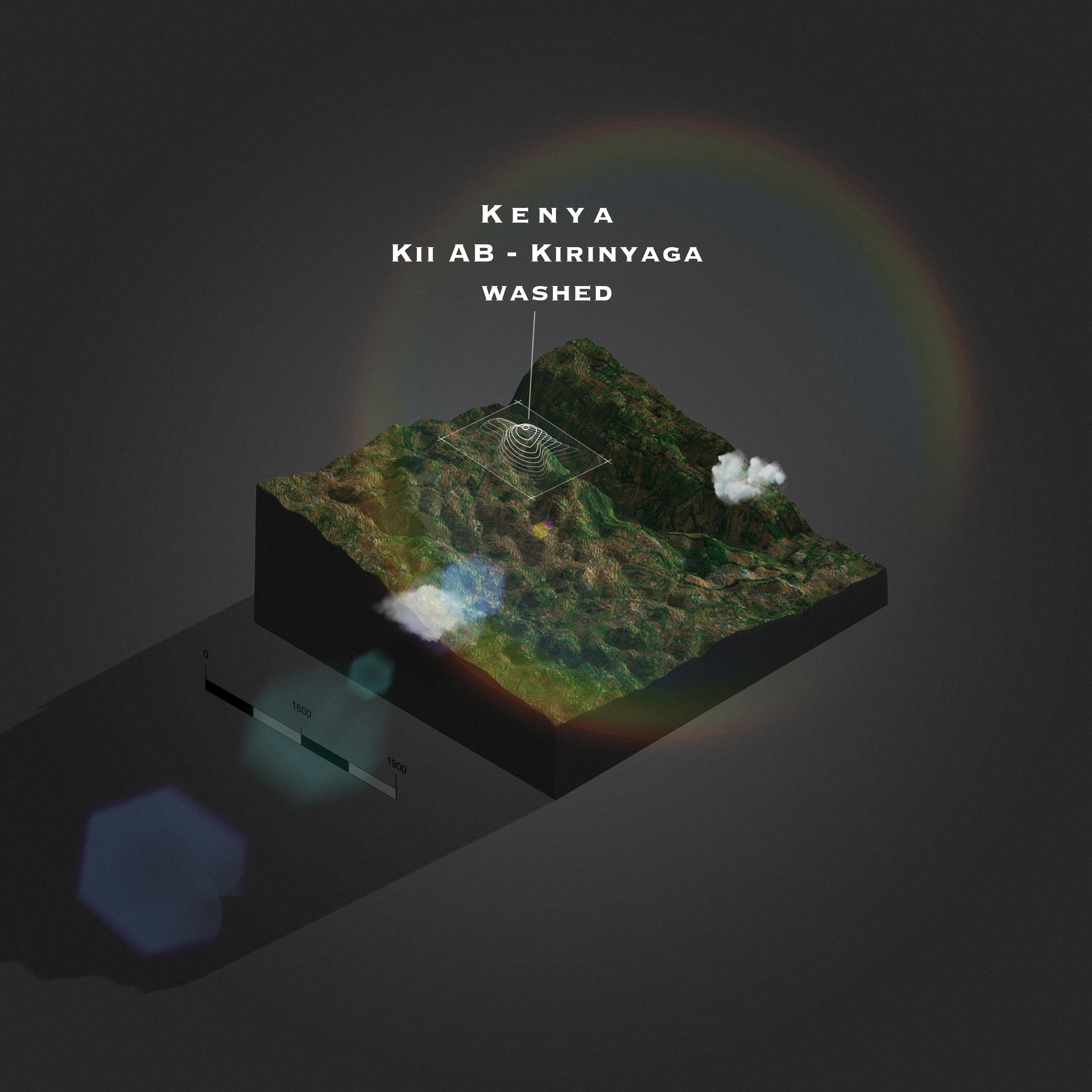 Kenya Kii AB Kirinyaga Washed (Single Origin Filter)