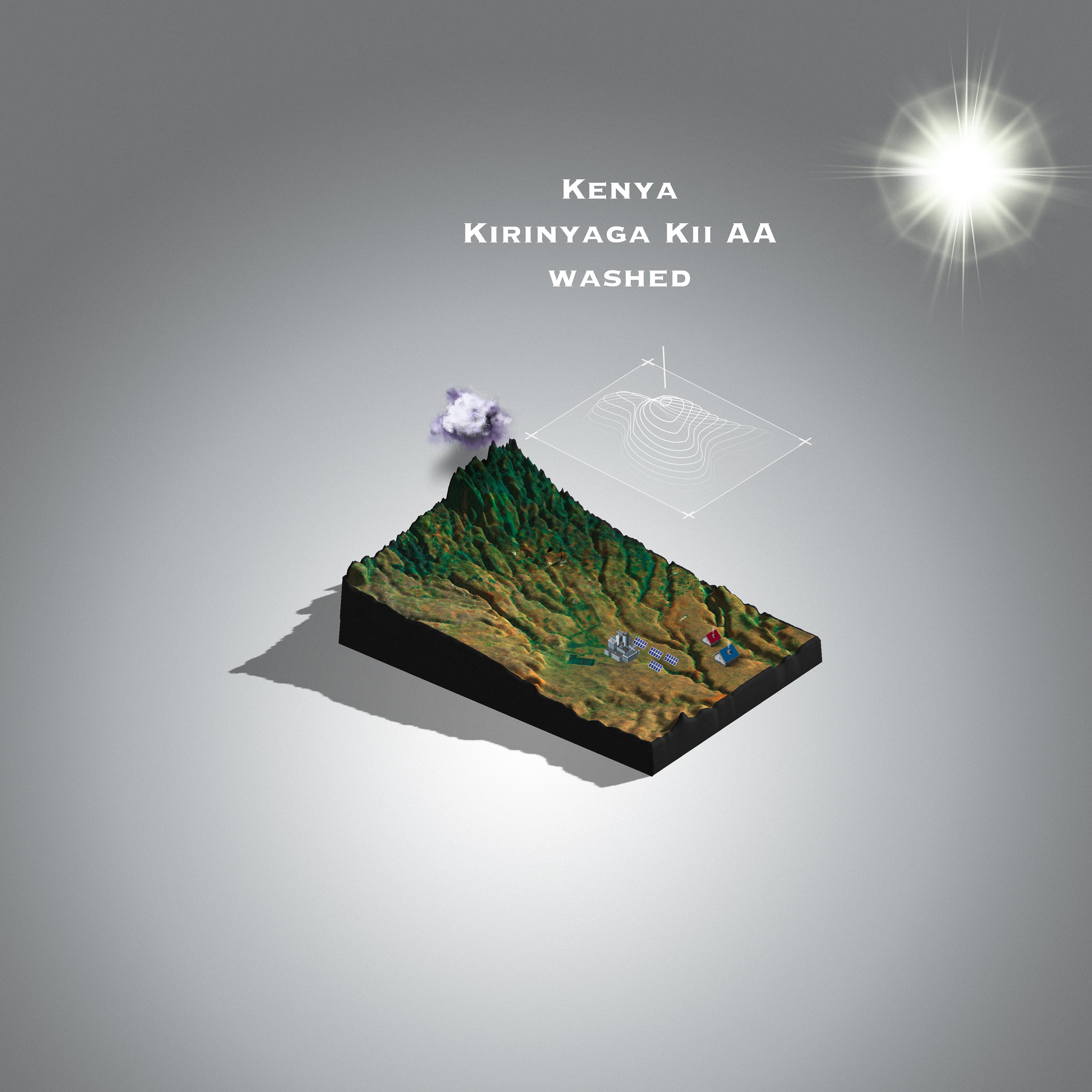 Kenya Kirinyaga Kii Washed  (Single Origin Filter)