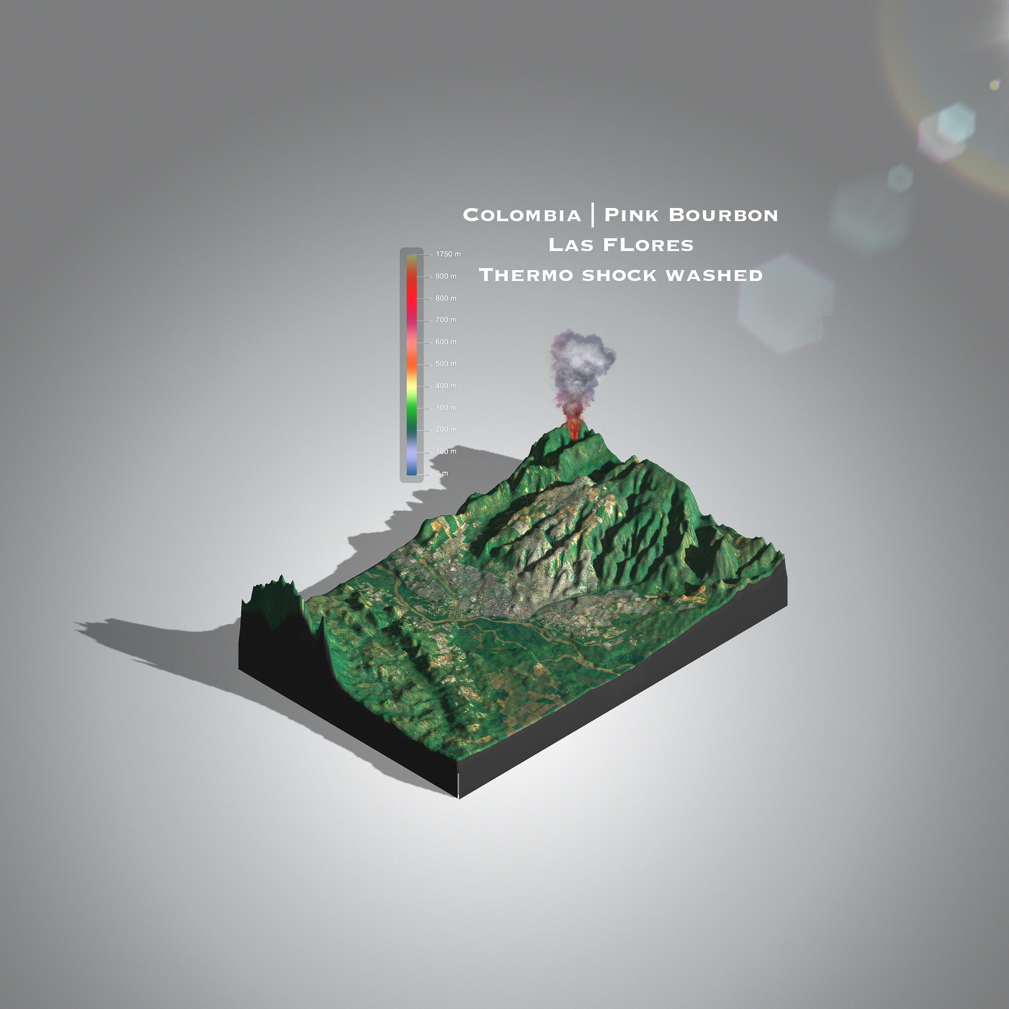 Manta_ray_coffee_colombia_pink_bourbon