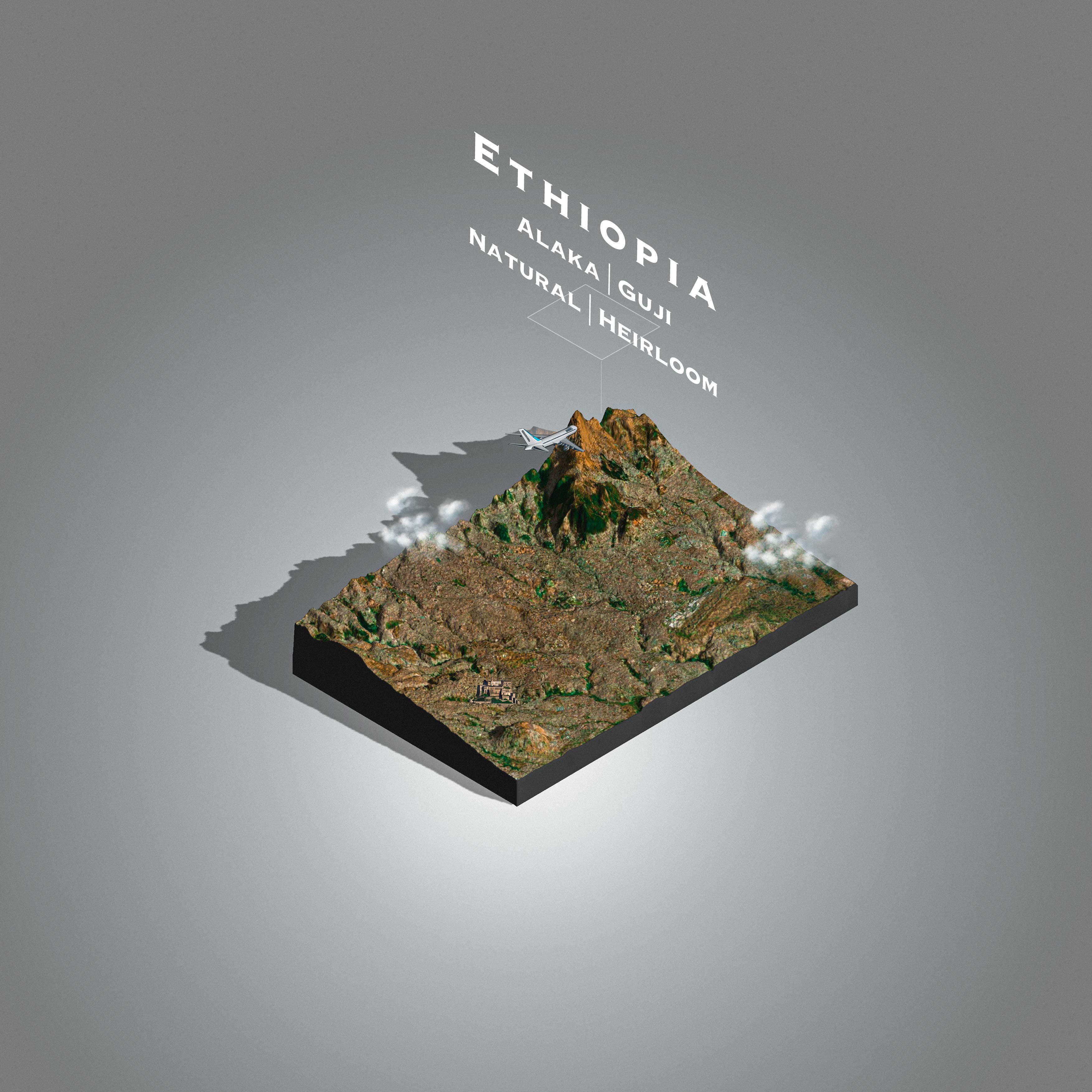 Ethiopia Alaka | Guji Natural (Single Origin Filter)