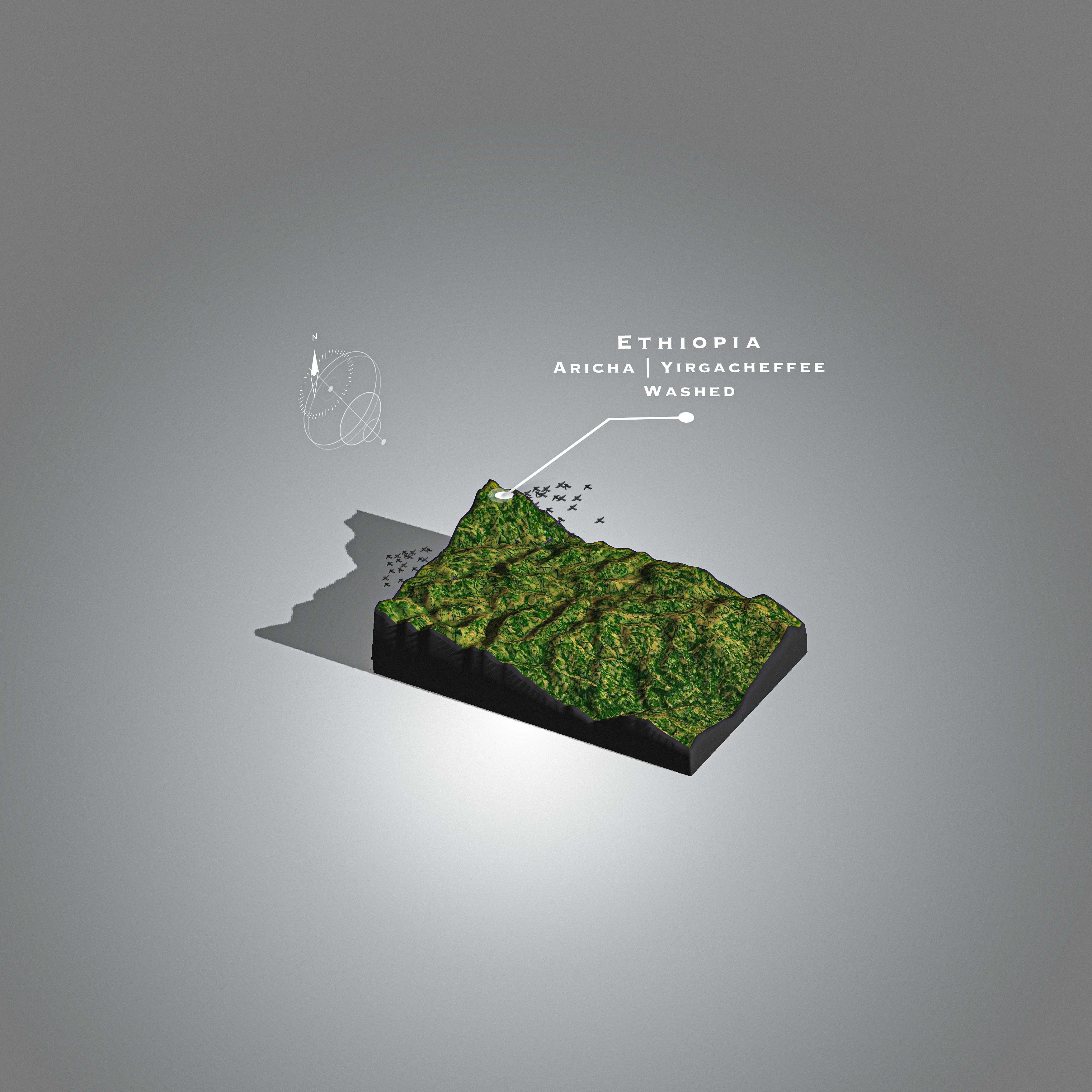 Ethiopia Aricha Washed  G1 (Single Origin Filter)