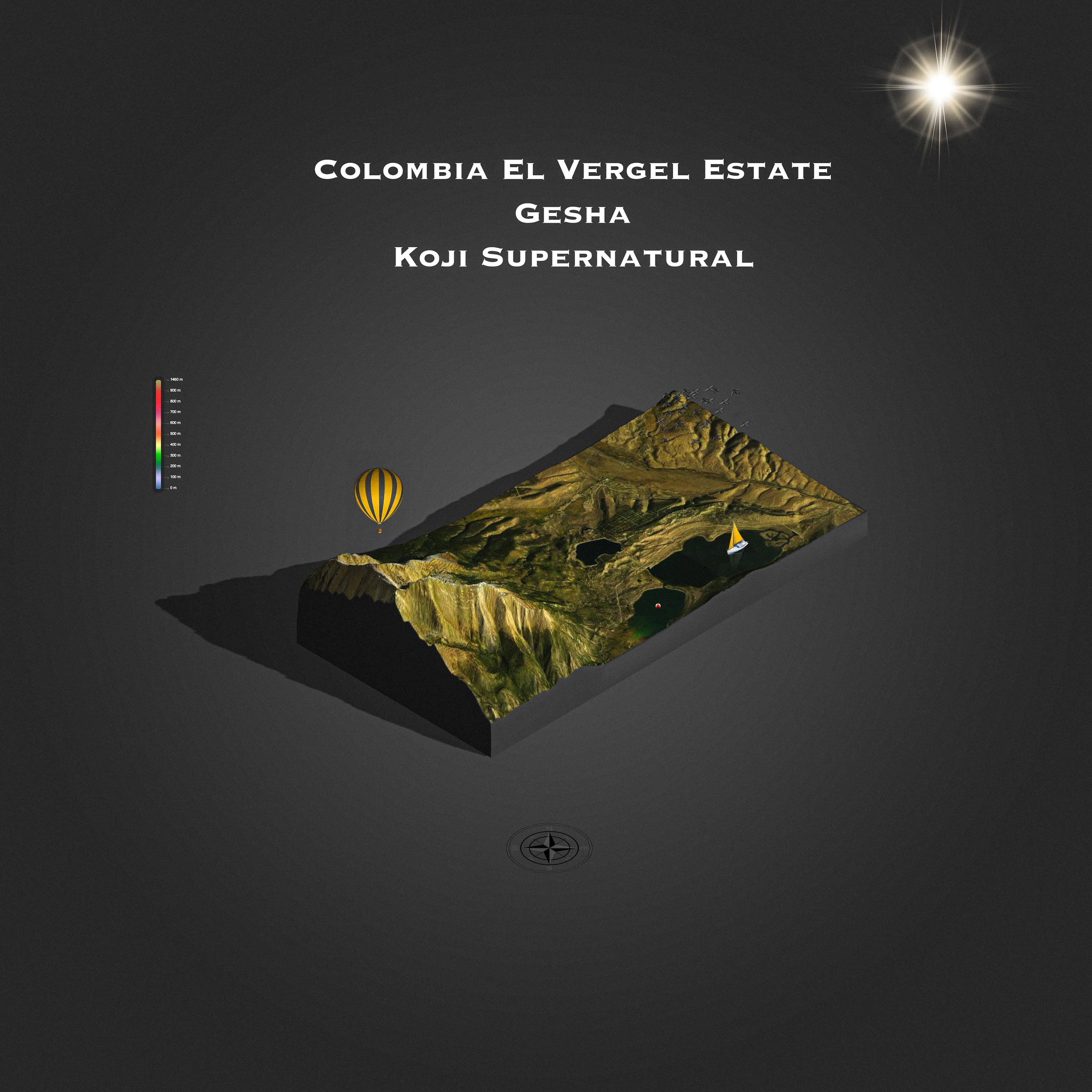Colombia El Vergel Estate Gesha | Koji Supernatural