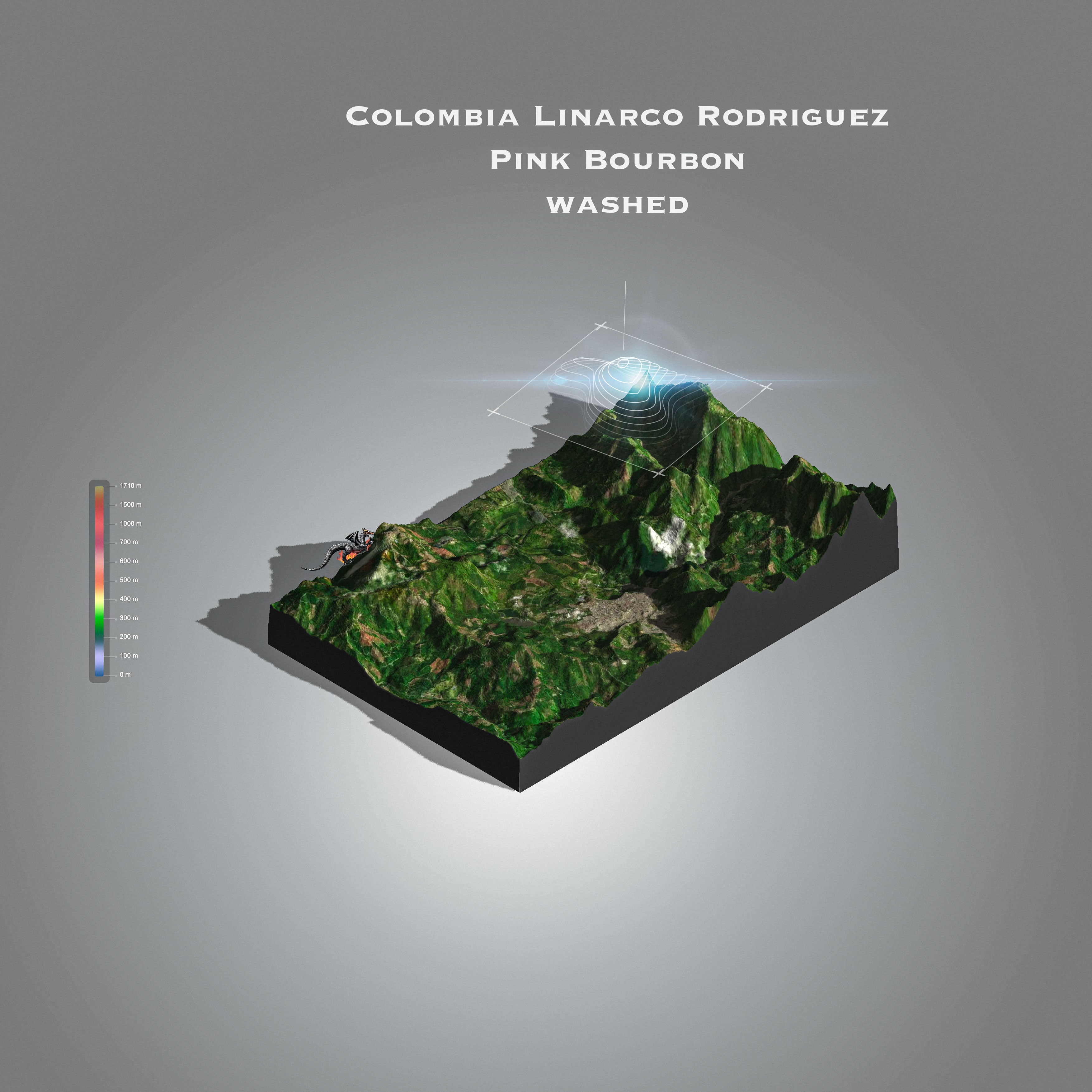 Colombia Linarco Rodriguez | Palestina Huila (Single Origin Filter)