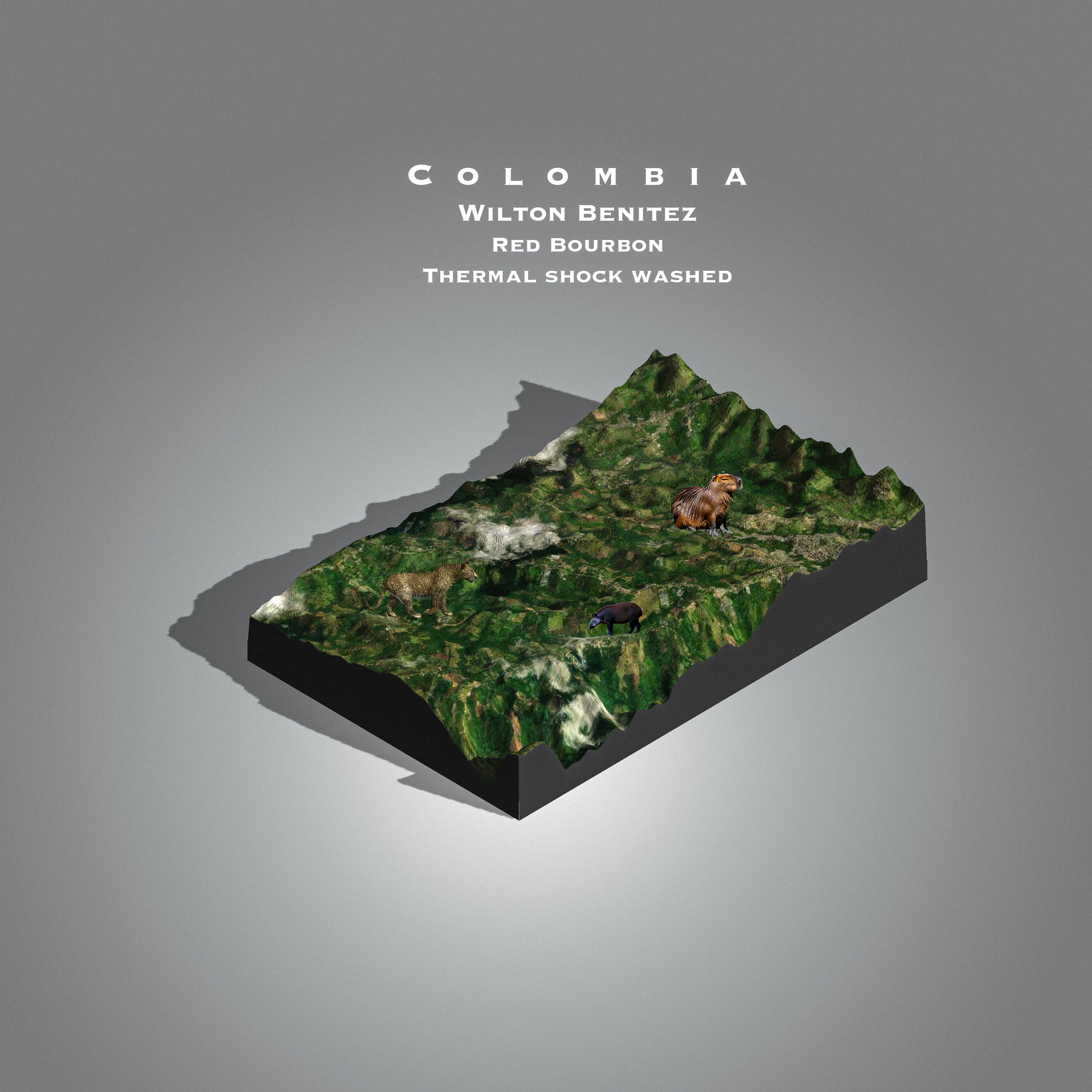 Colombia Wilton Benitez | Piendamo Cauca (Single Origin Filter)