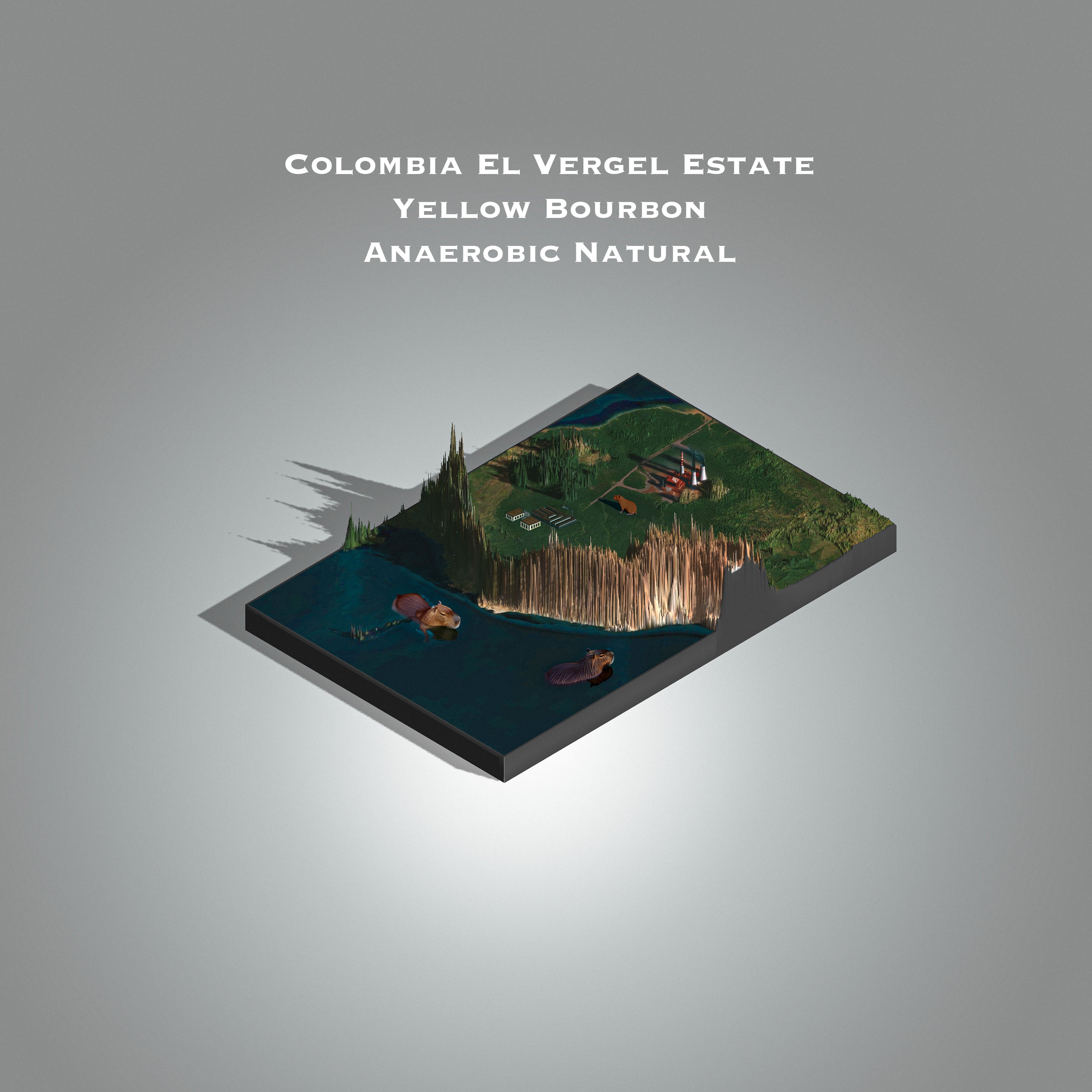 Colombia El Vergel Estate Yellow Bourbon | Anaerobic natural