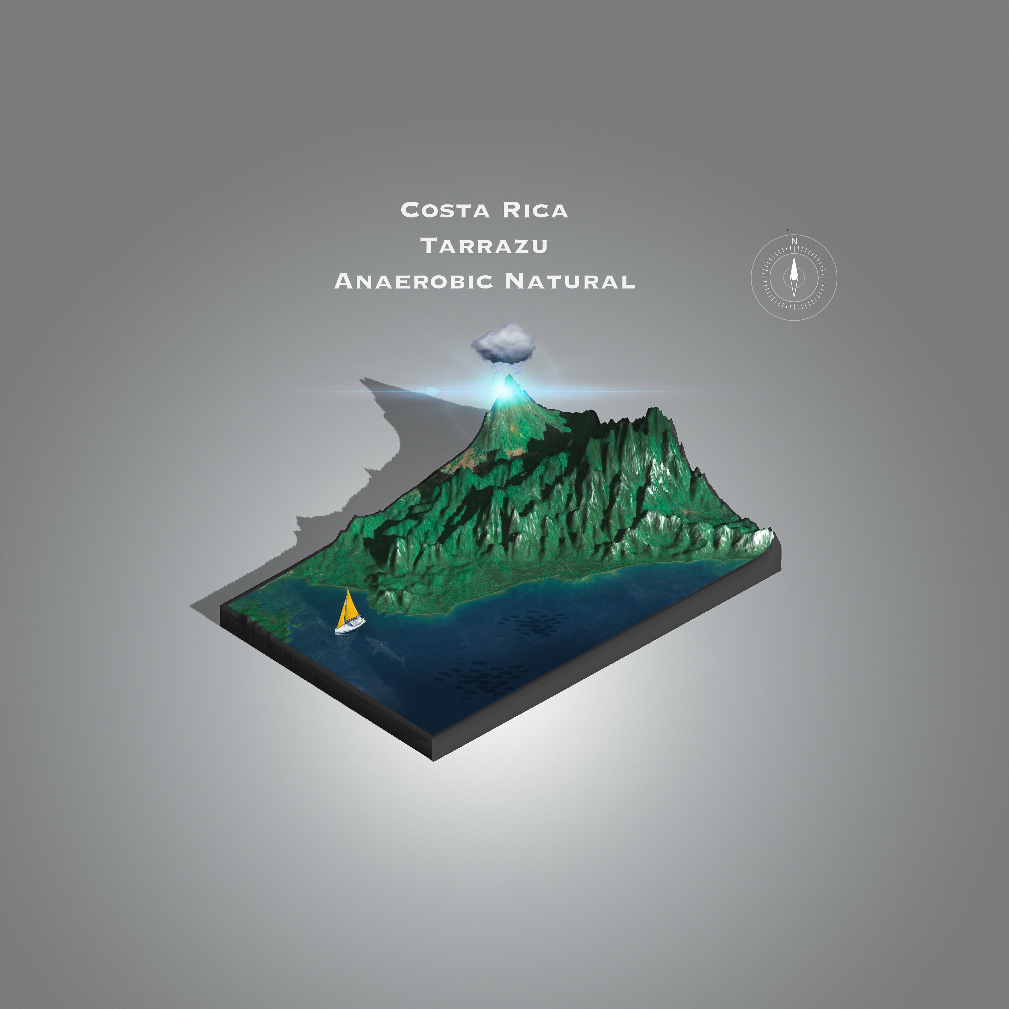 Costa Rica | Coope Tarrazu