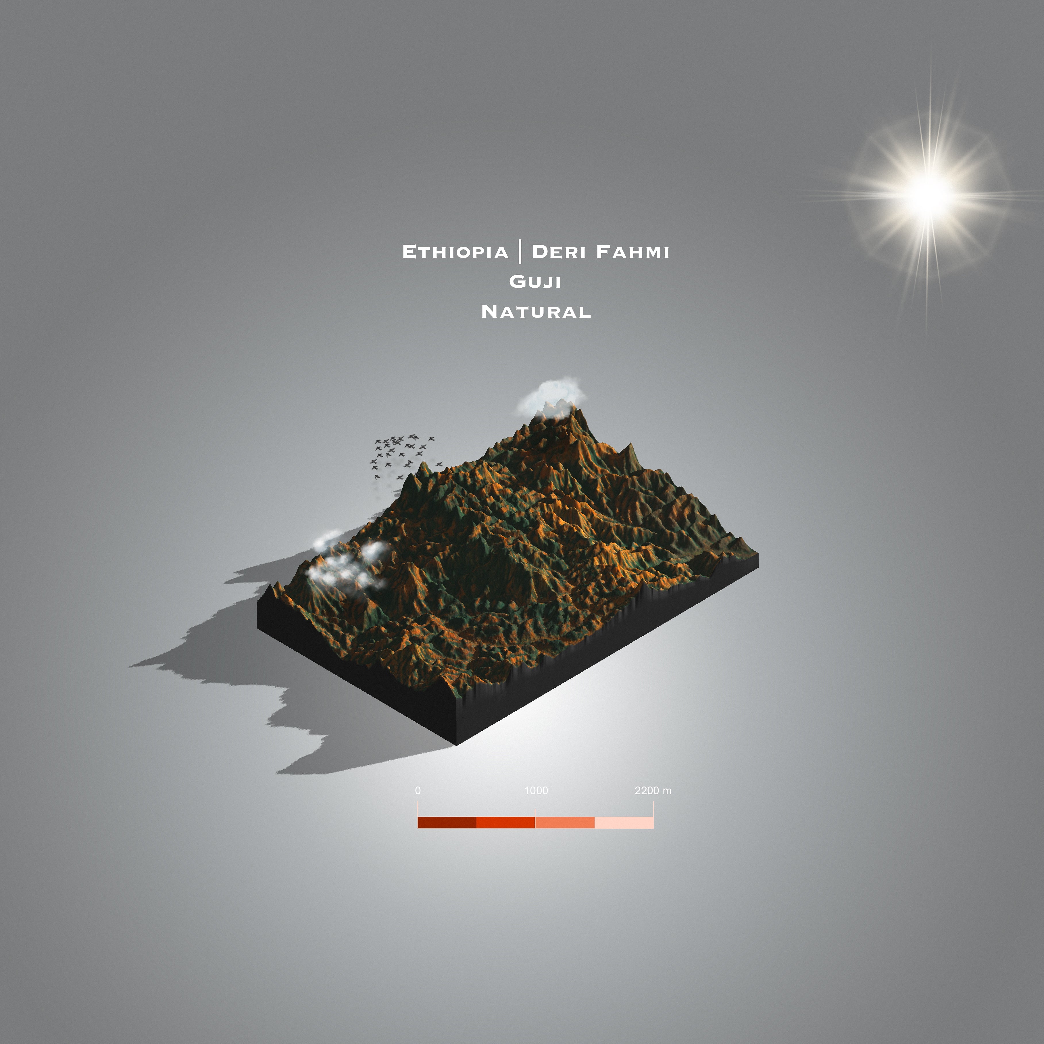 Ethiopia Deri Fahmi | Guji Natural (Single Origin Espresso)