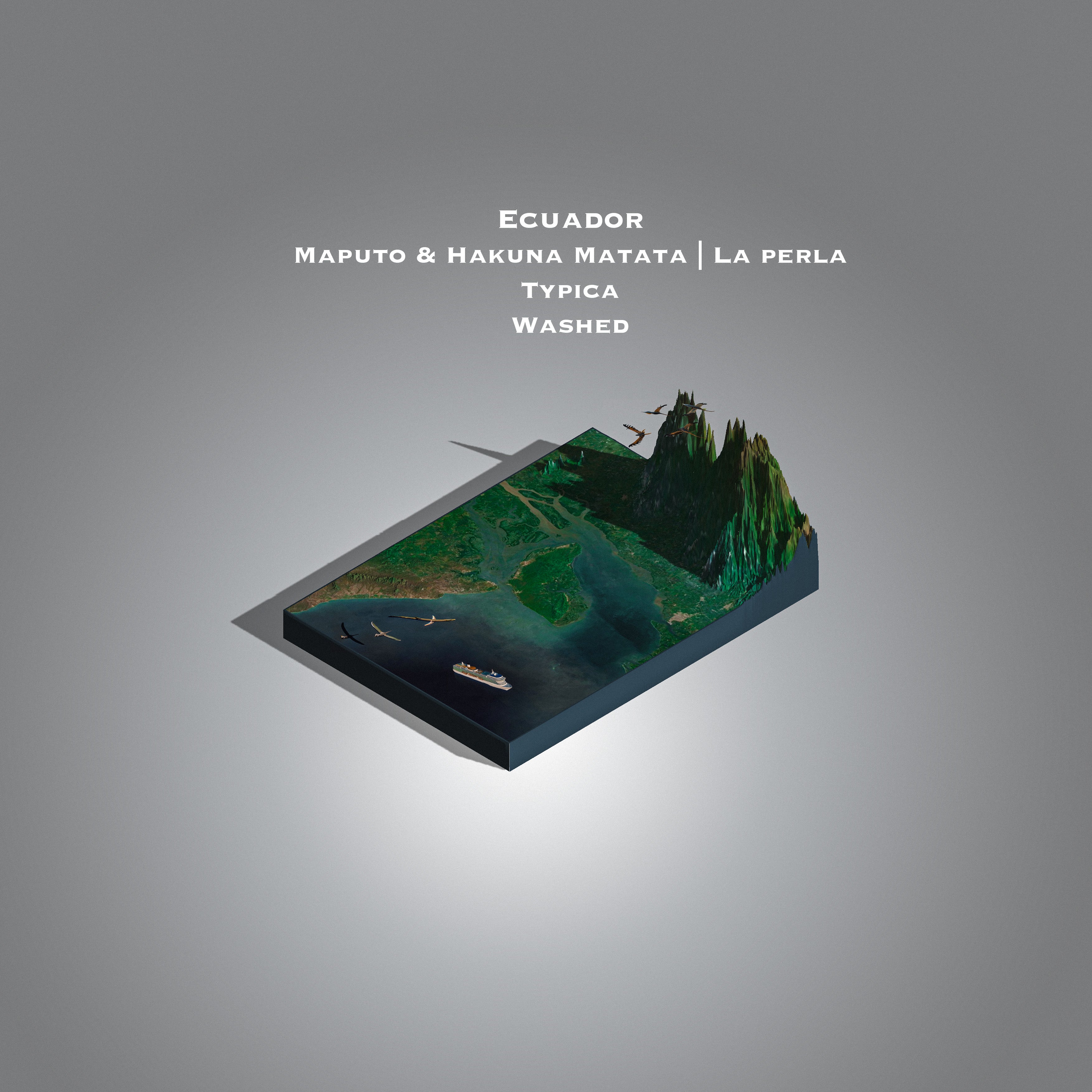 Ecuador Maputo & Hakuna Matata | La Perla (Single Origin Filter)