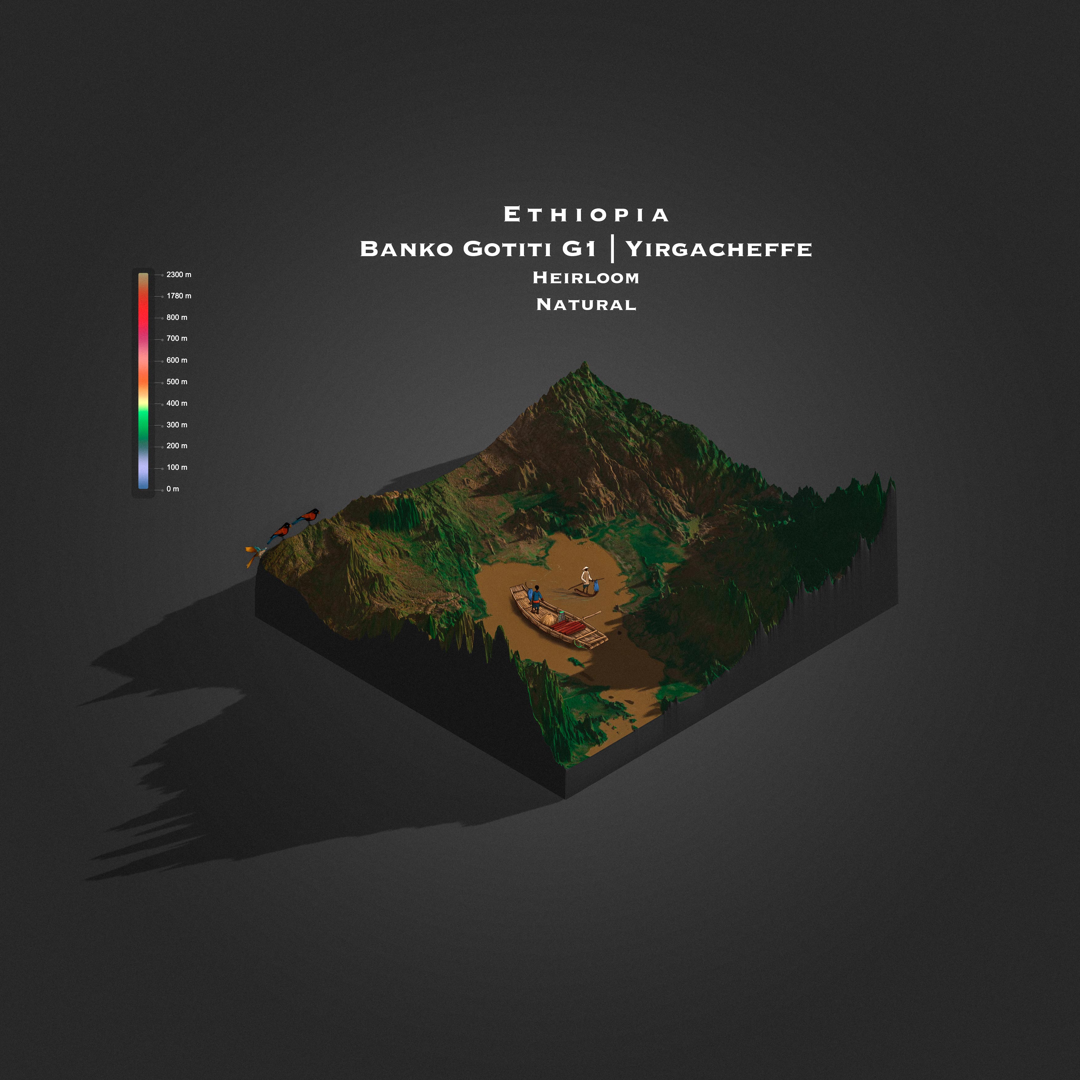 Ethiopia Banko Gotiti G1 | Yirgacheffee Natural (Single Origin Filter)