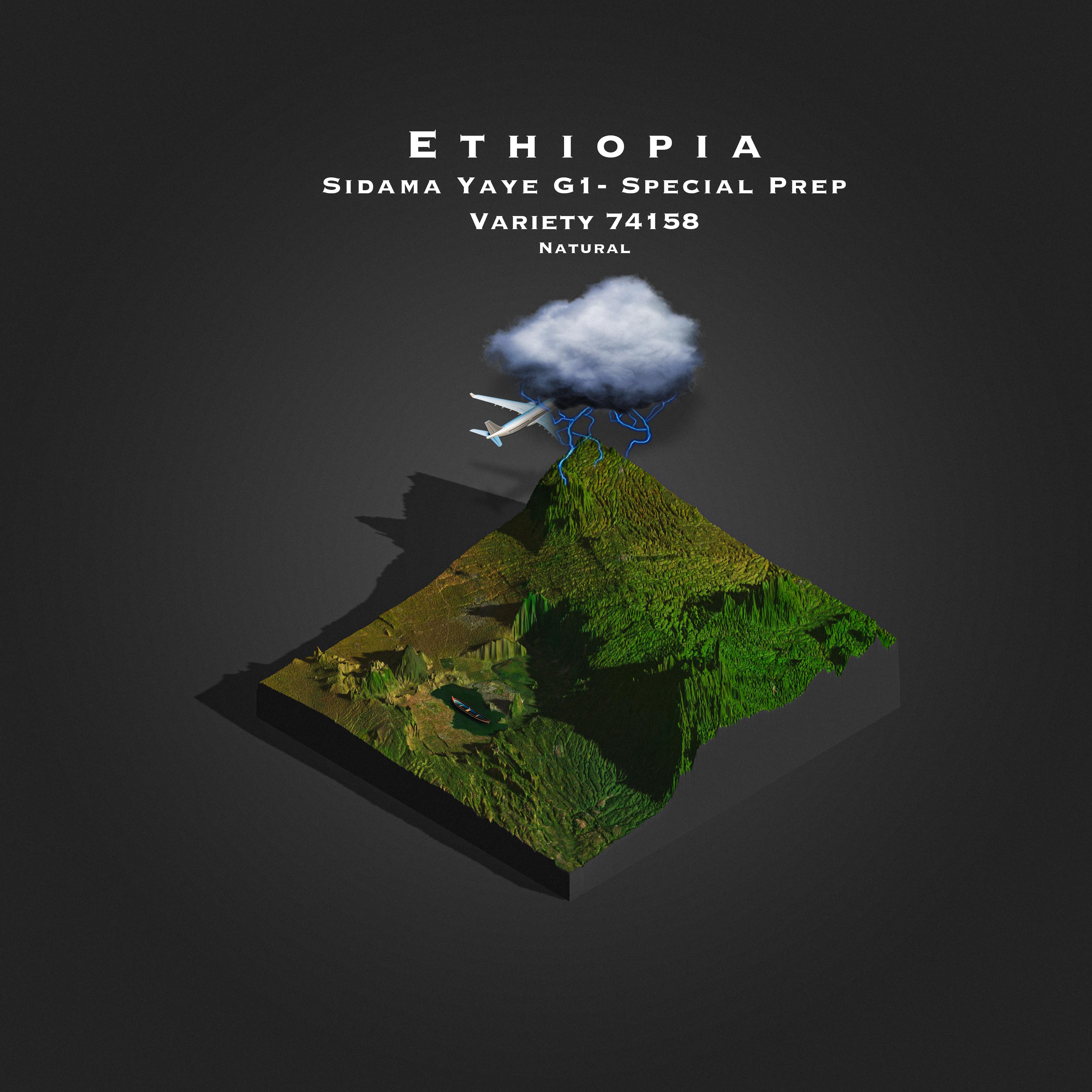 Ethiopia Sidama Yaye G1 - Special Prep (Single Origin Filter)