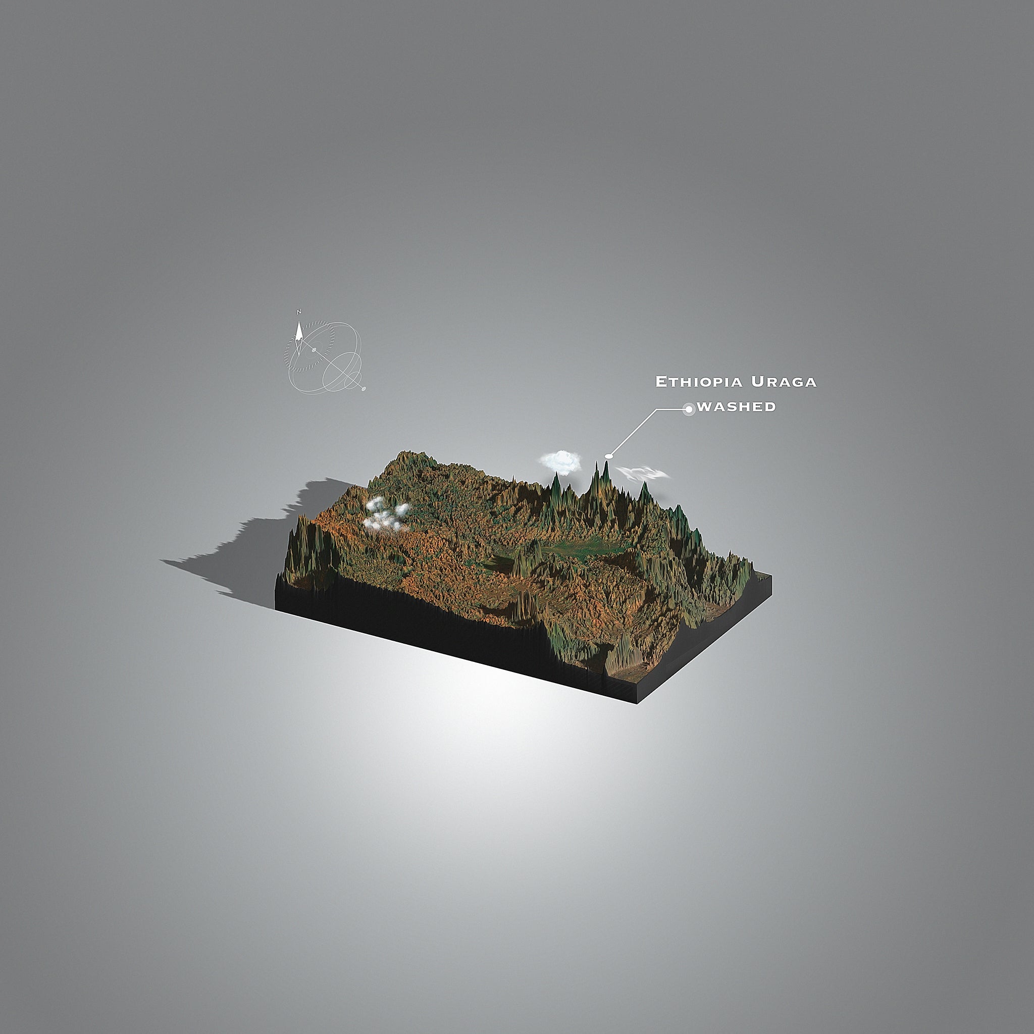 Ethiopia Uraga | Guji washed (Single Origin Filter)