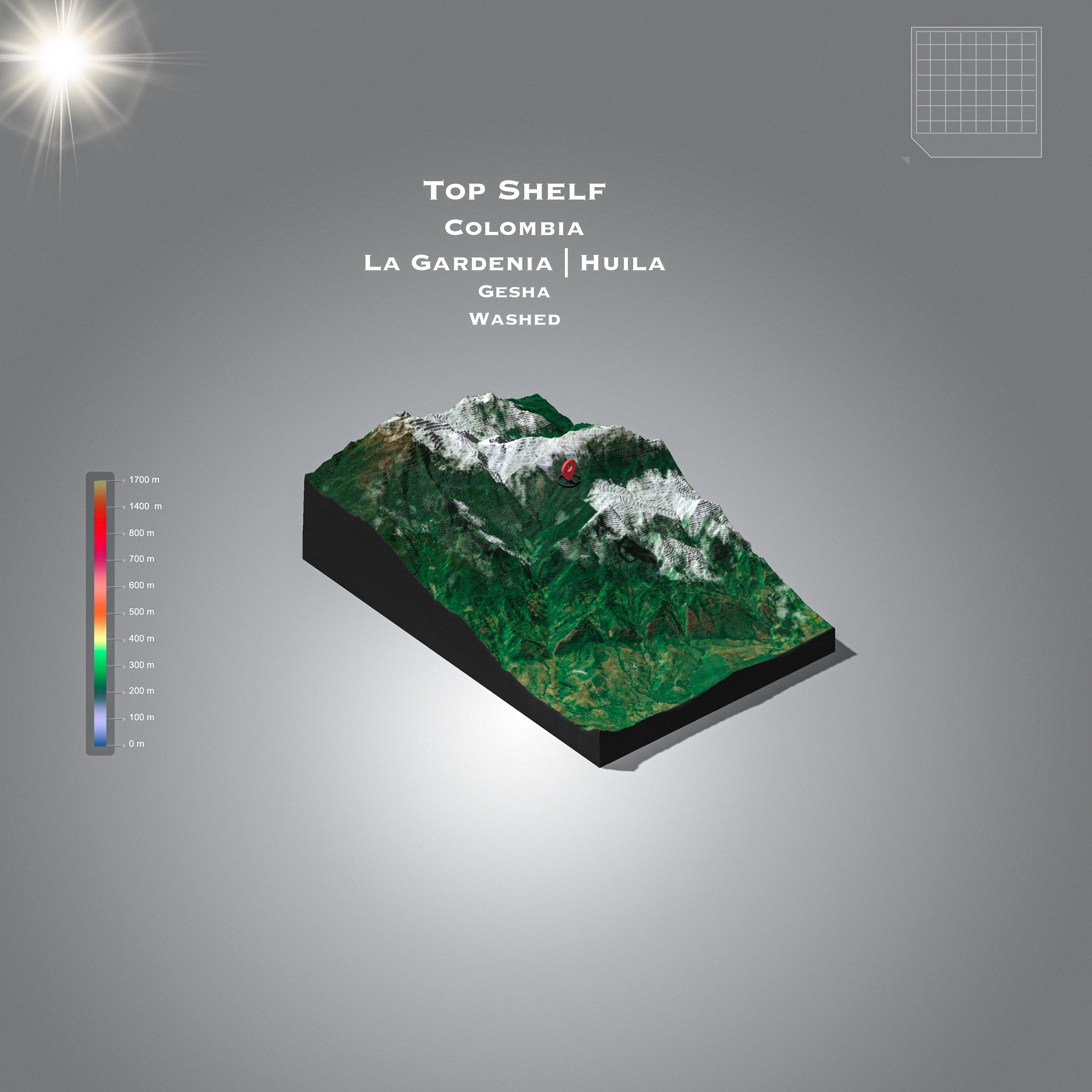 Colombia Washed Gesha | Washed Gesha