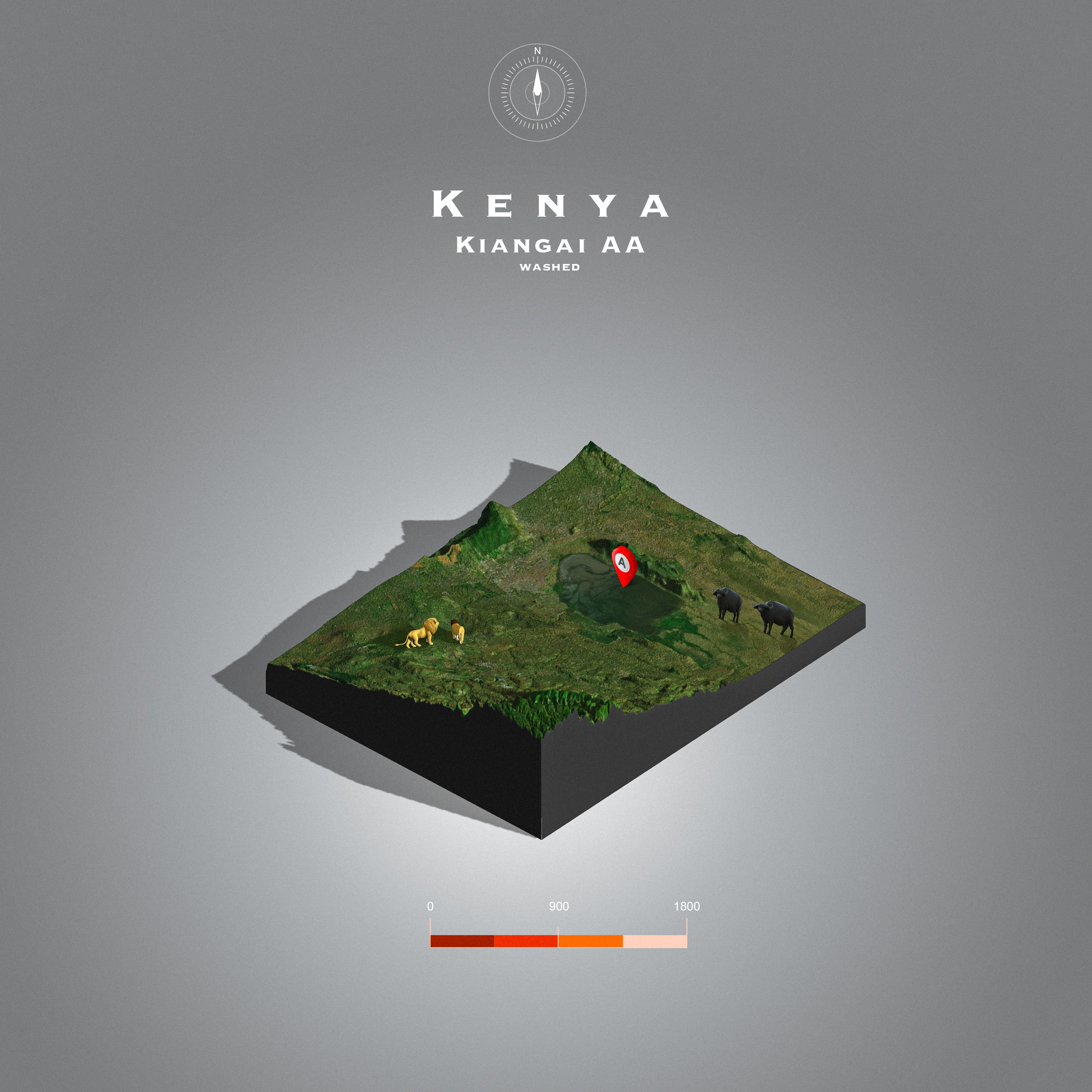 Kenya Kiangai AA Washed (Single Origin Filter)