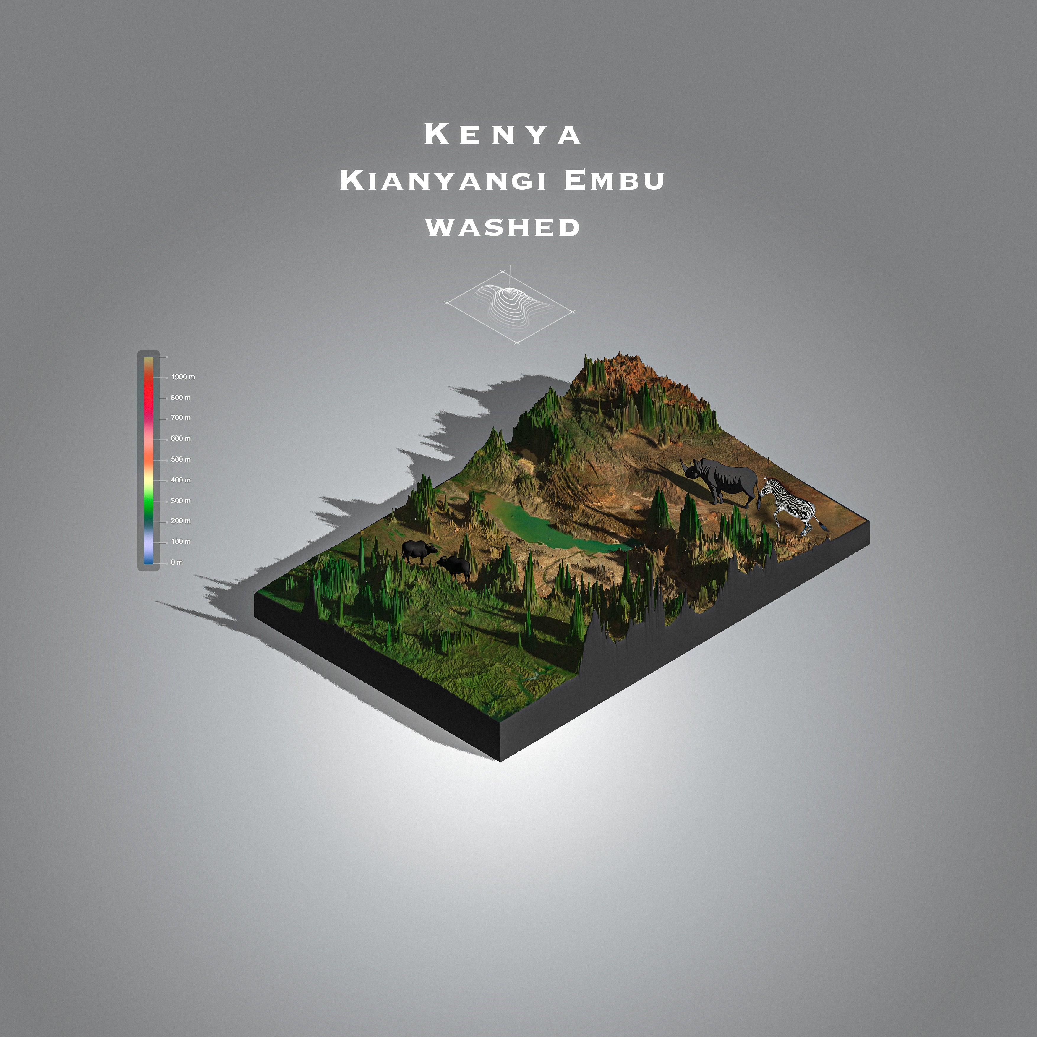 Kenya Kianyangi Embu Washed (Single Origin Espresso)