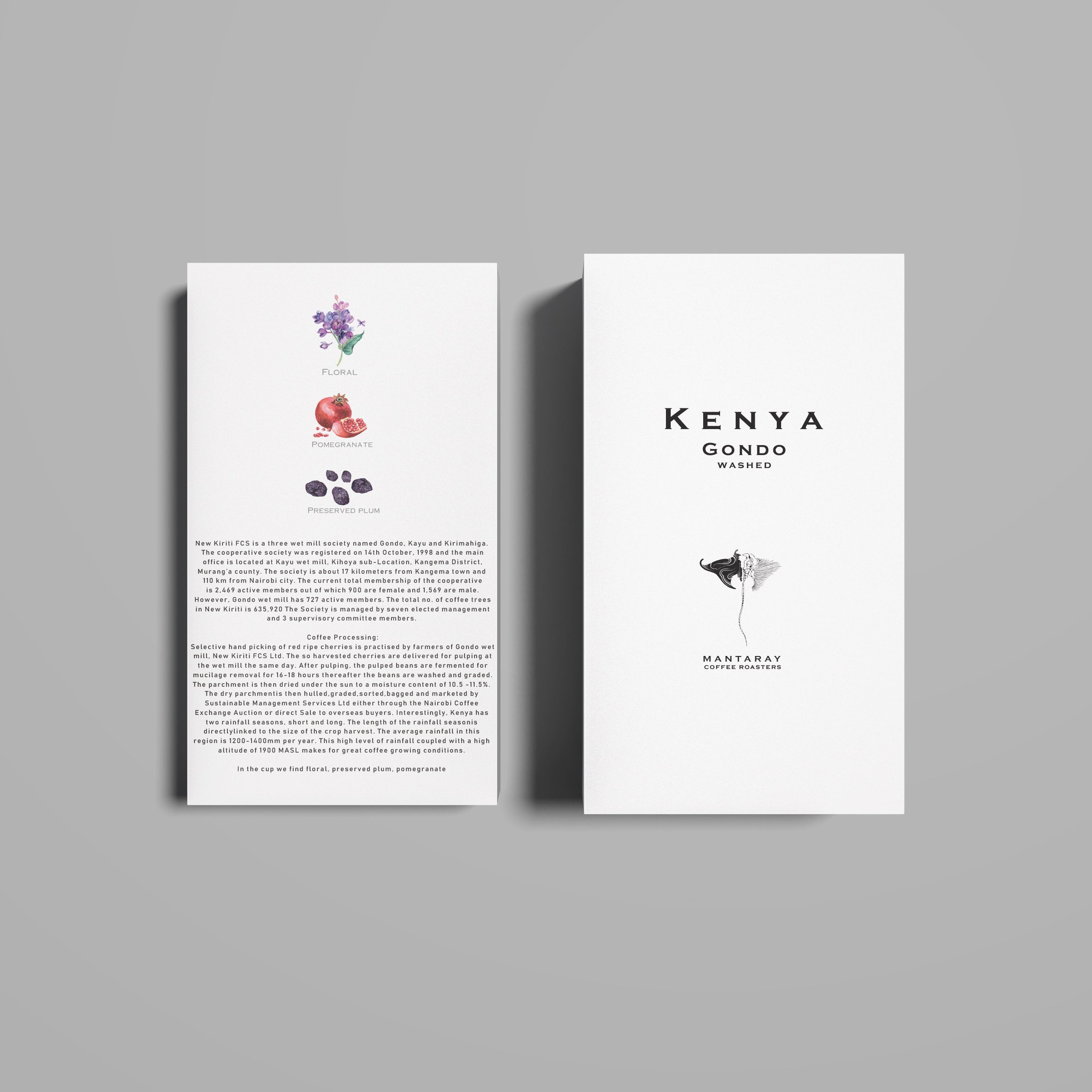 Kenya Gondo Washed (Single Origin Filter)