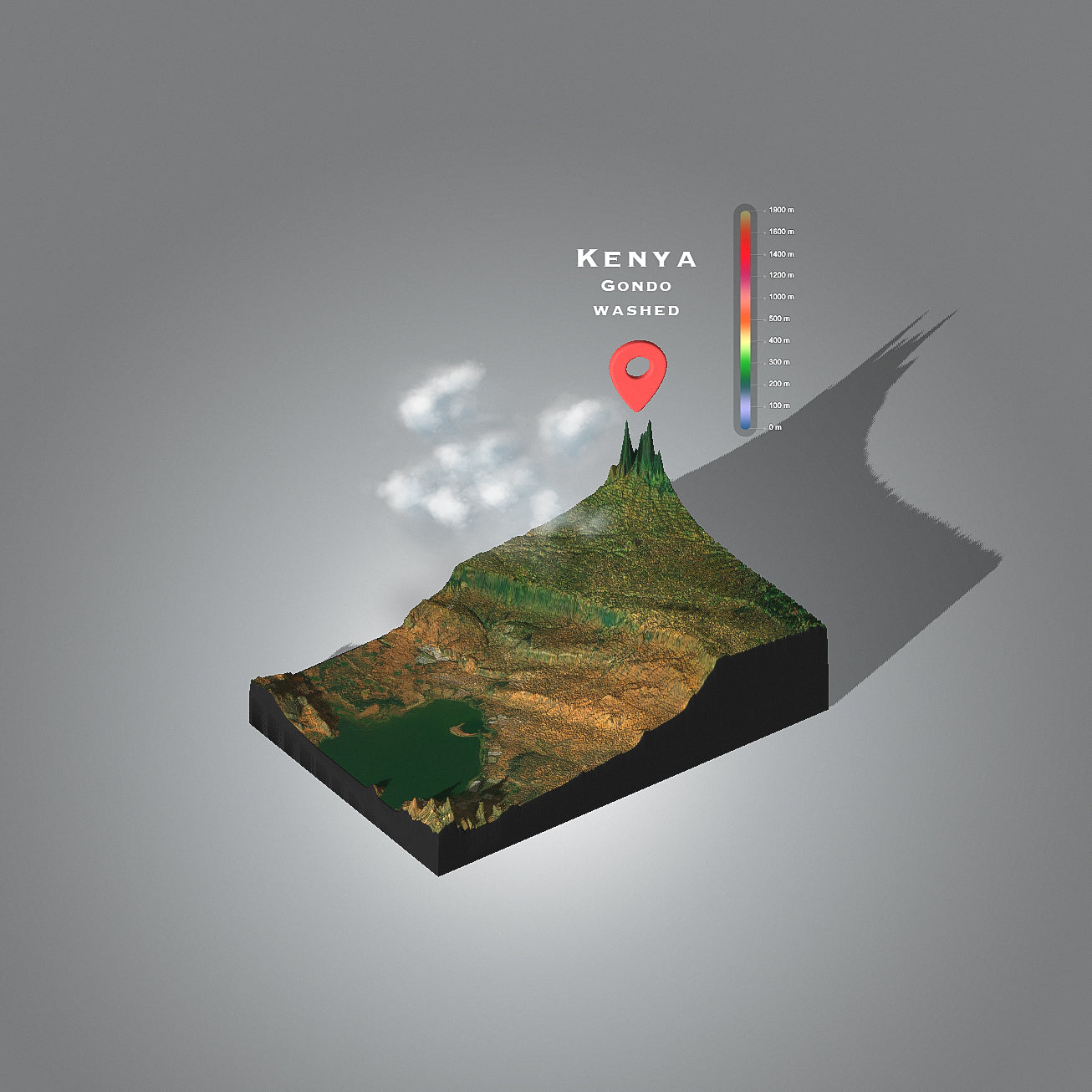 Kenya Gondo Washed  (Single Origin Espresso)