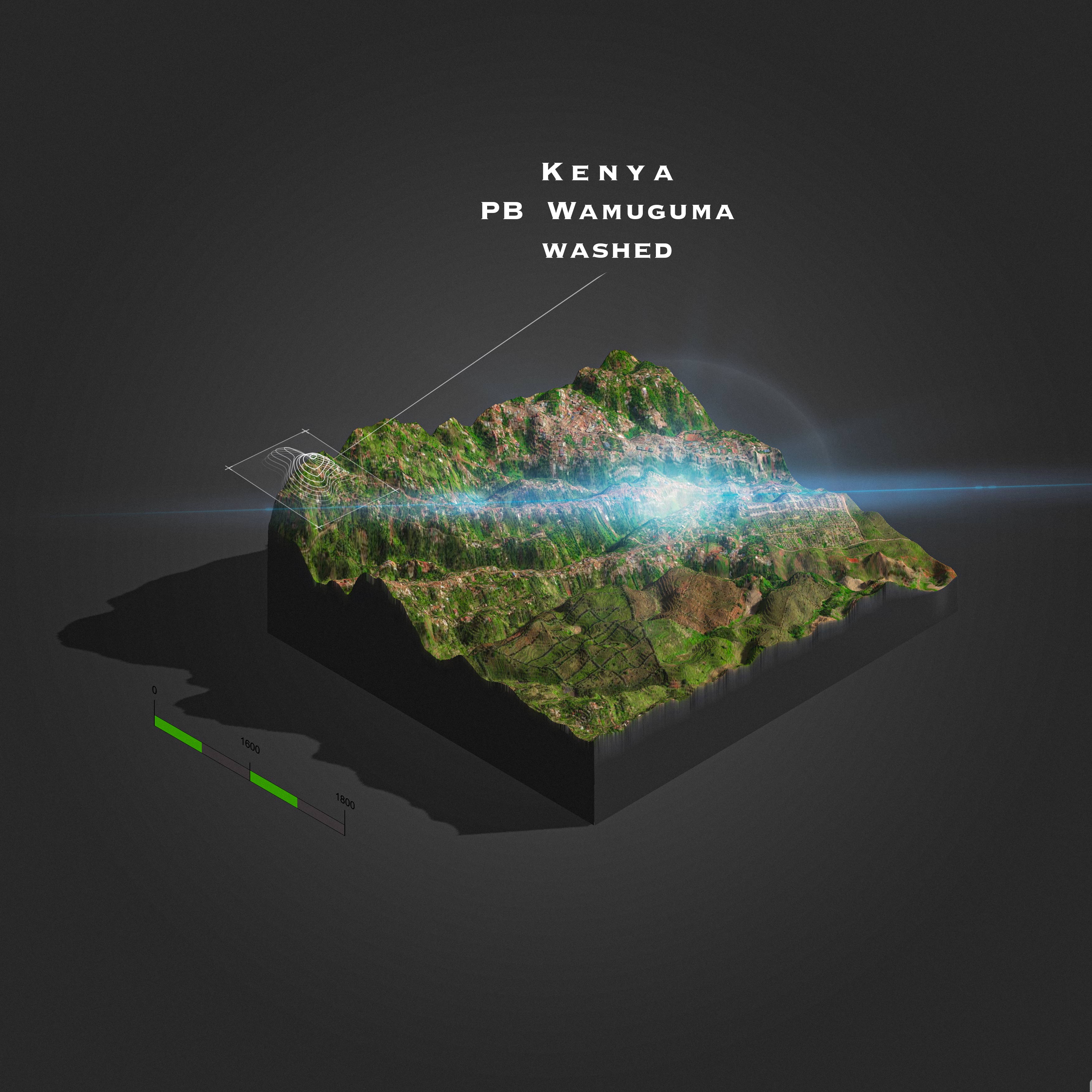 Kenya Peaberry Wamuguma | Kiambu (Single Origin Filter)