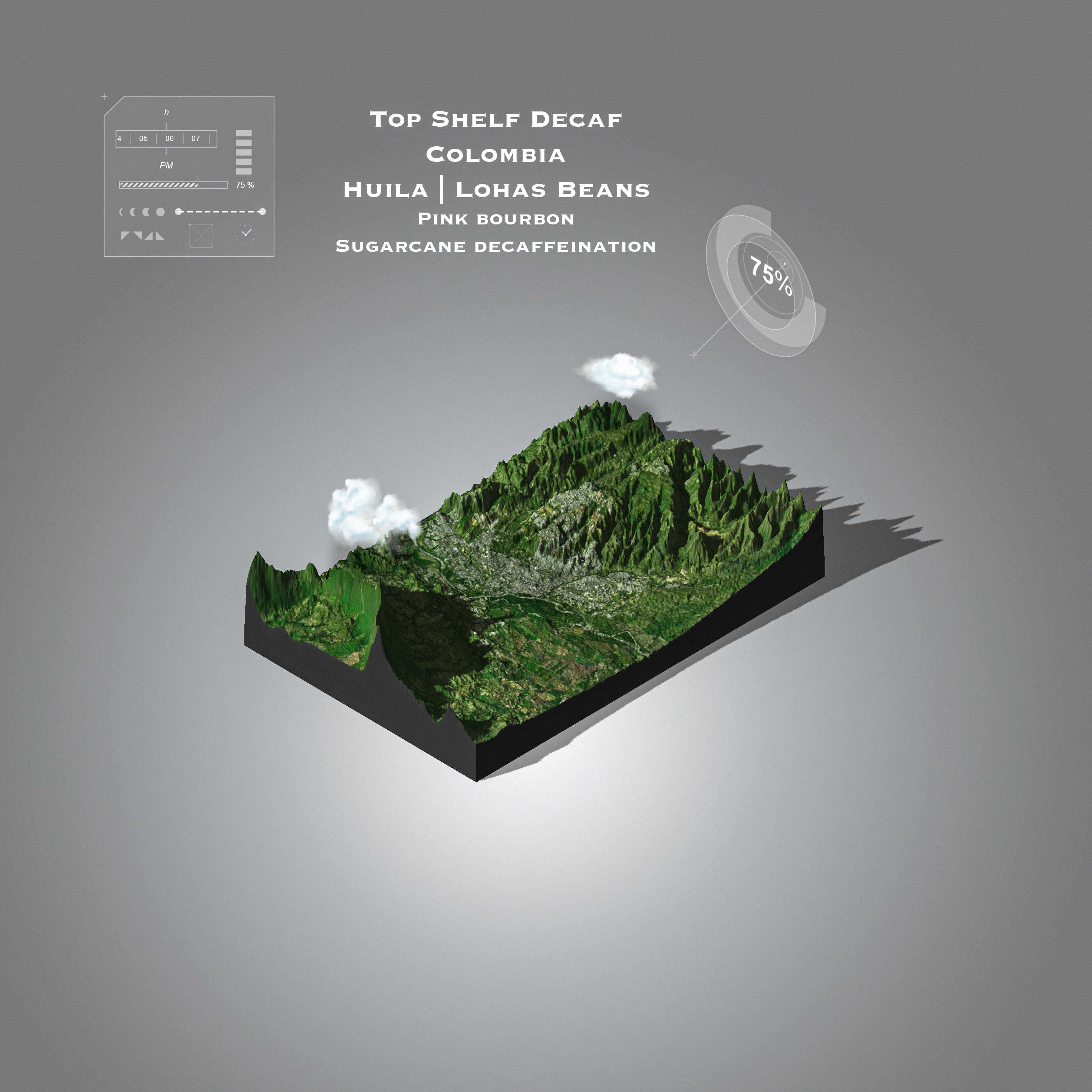 Colombia Sugarcane Decaffeination | Pink Bourbon | Lohas Beans | Filter roast only