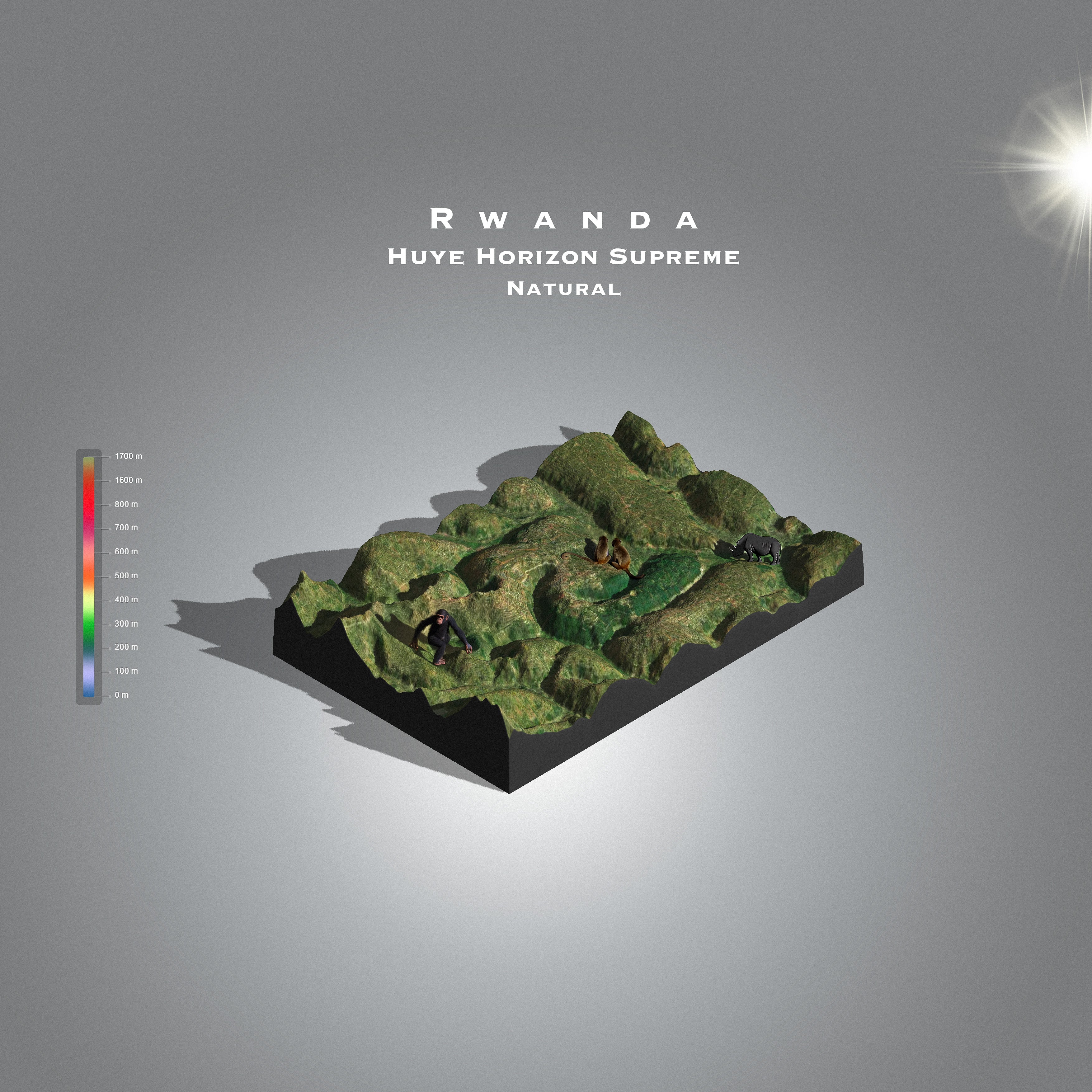 Rwanda Horizon Supreme G1 Natural (Single Origin Filter)