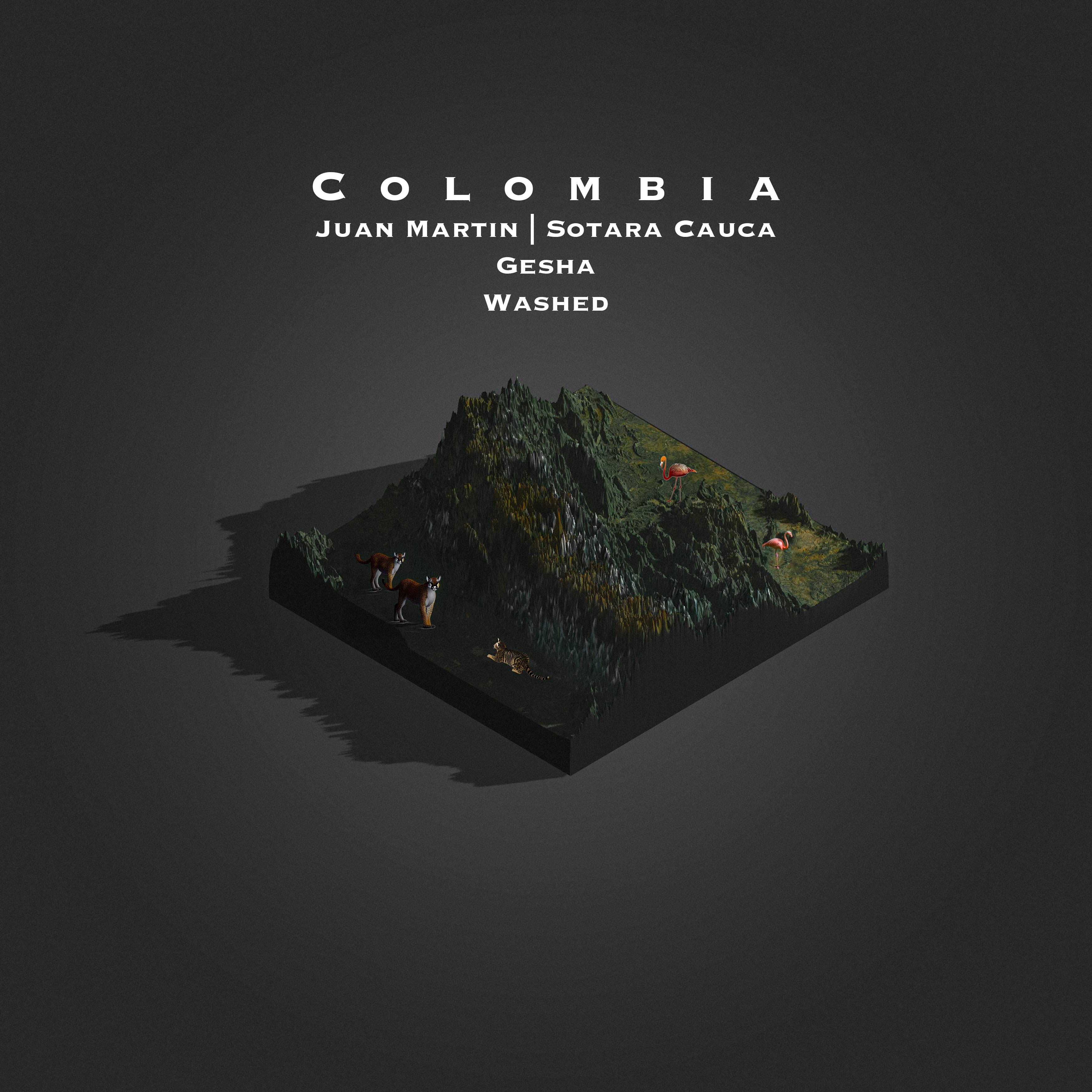 Colombia Juan Martin Washed Gesha | Sotara Cauca