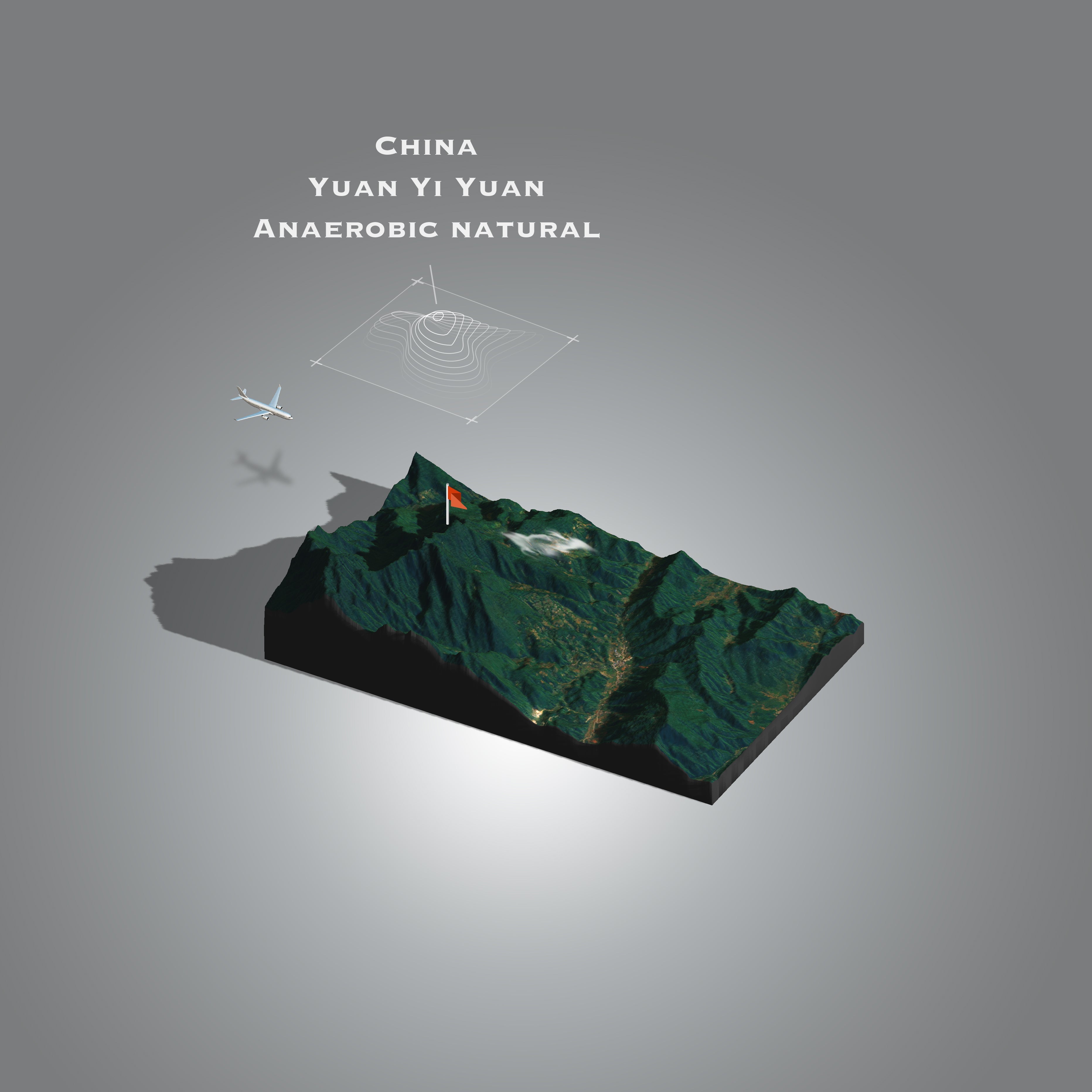 China Yuan Yi Yuan | Mangshi Yunnan (Single Origin Espresso)