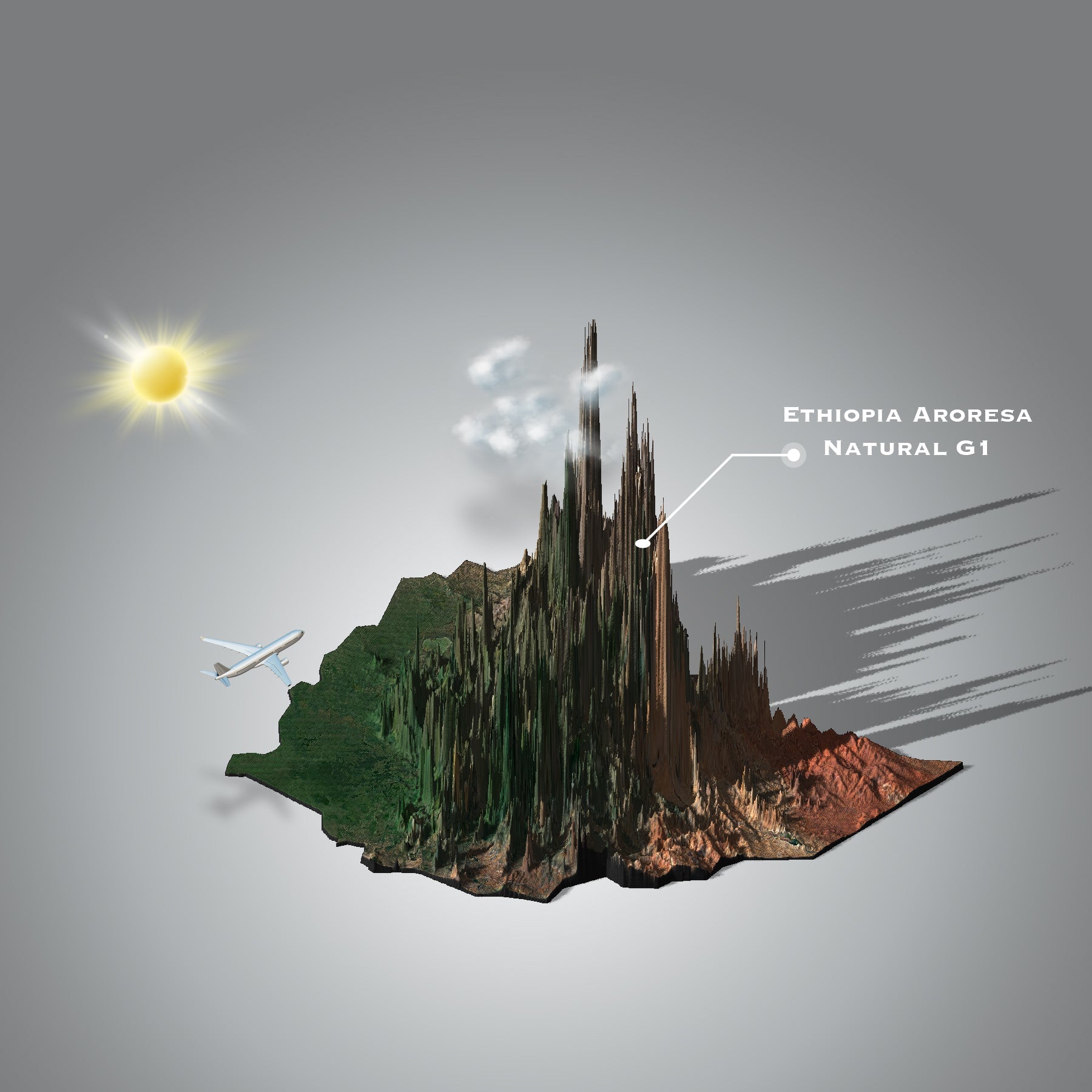 Ethiopia Aroresa G1 Natural (Single Origin Filter)