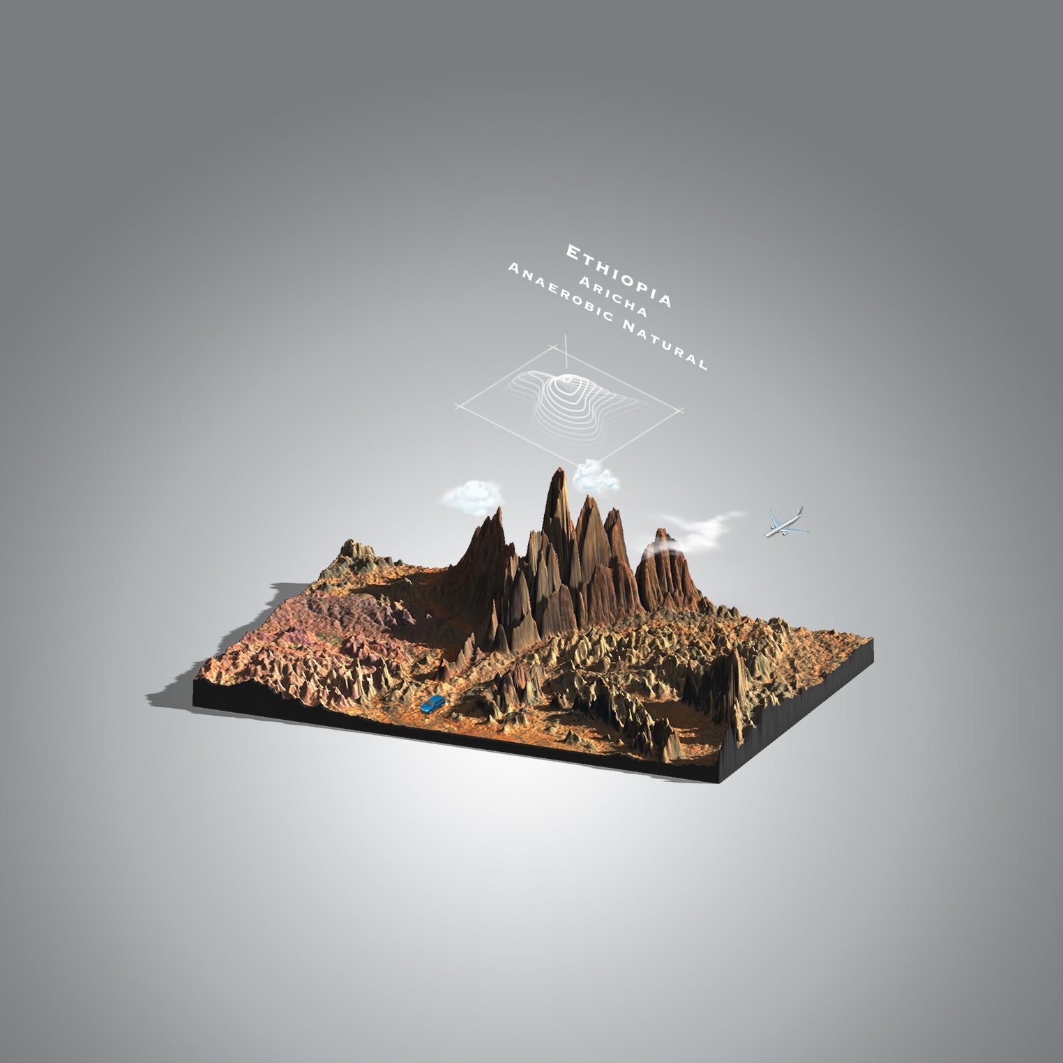 Ethiopia Aricha Anaerobic Natural