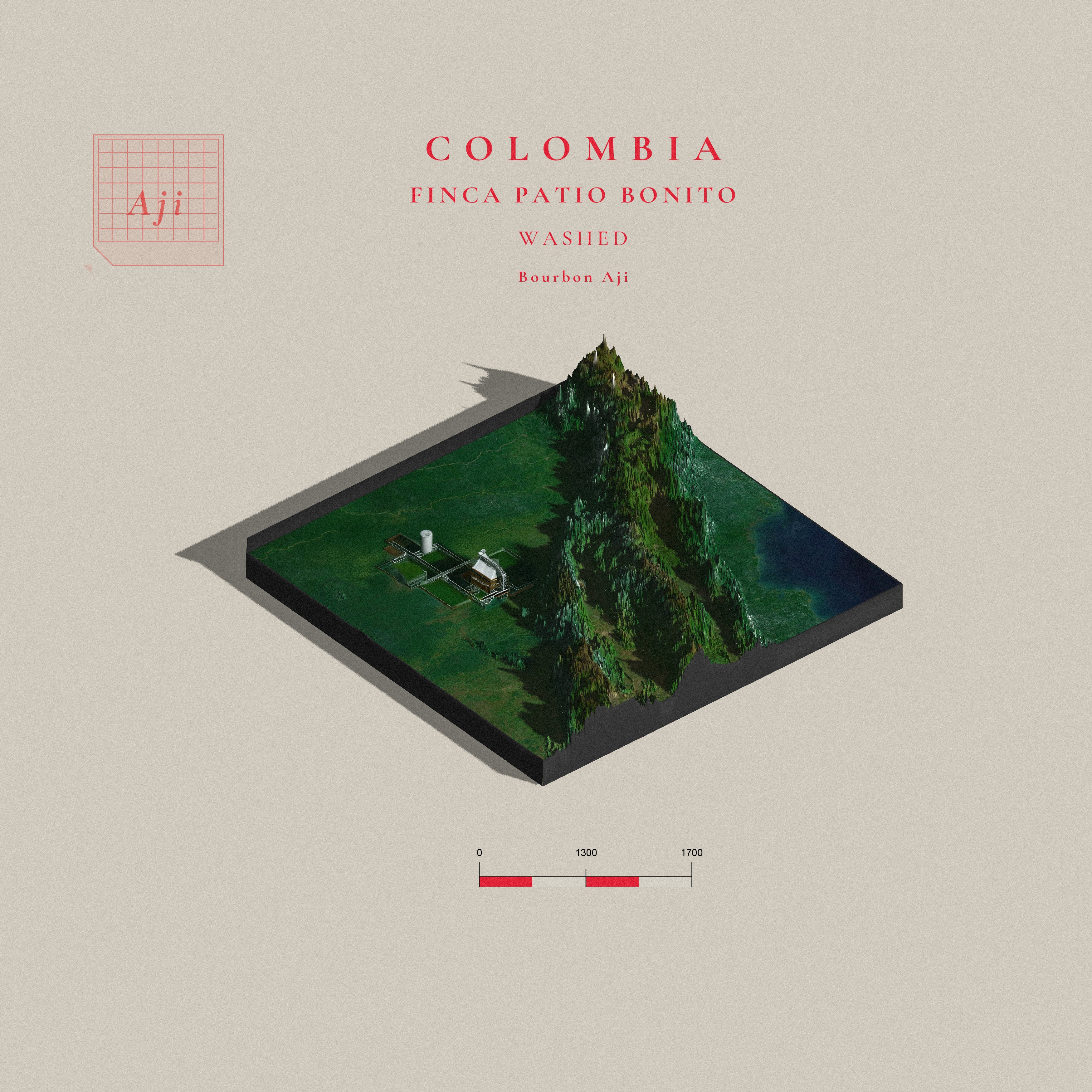 Colombia Bourbon Aji Washed  | Finca Patio Bonito  (Single Origin Filter)