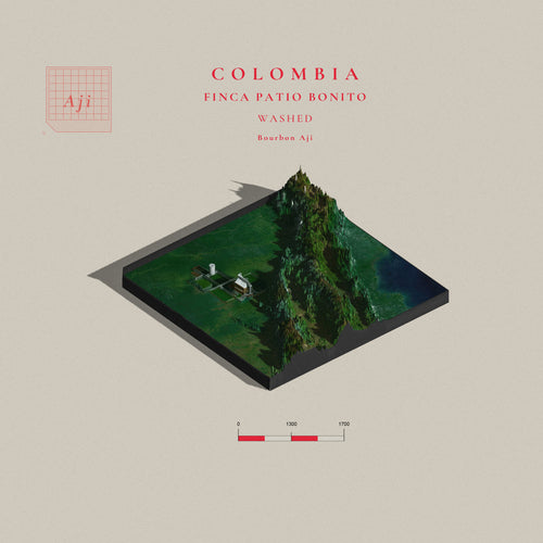 Colombia Bourbon Aji Washed  | Finca Patio Bonito  (Single Origin Filter)