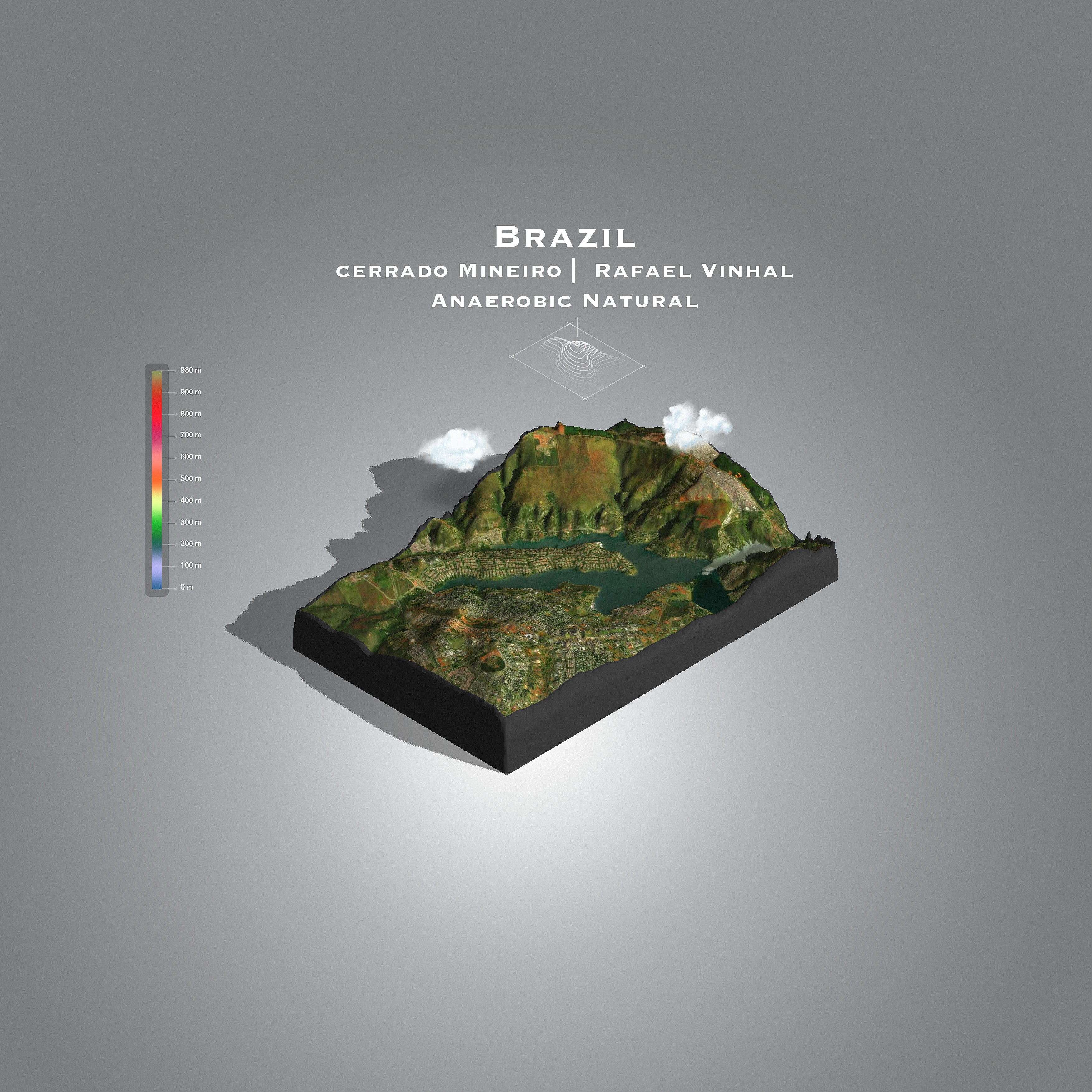 Brazil Cerrado Mineiro | Rafael Vinhal Anaerobic natural (Single Origin Espresso)