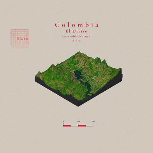 Colombia El Diviso Sidra | Anaerobic Natural | Filter Roast Only