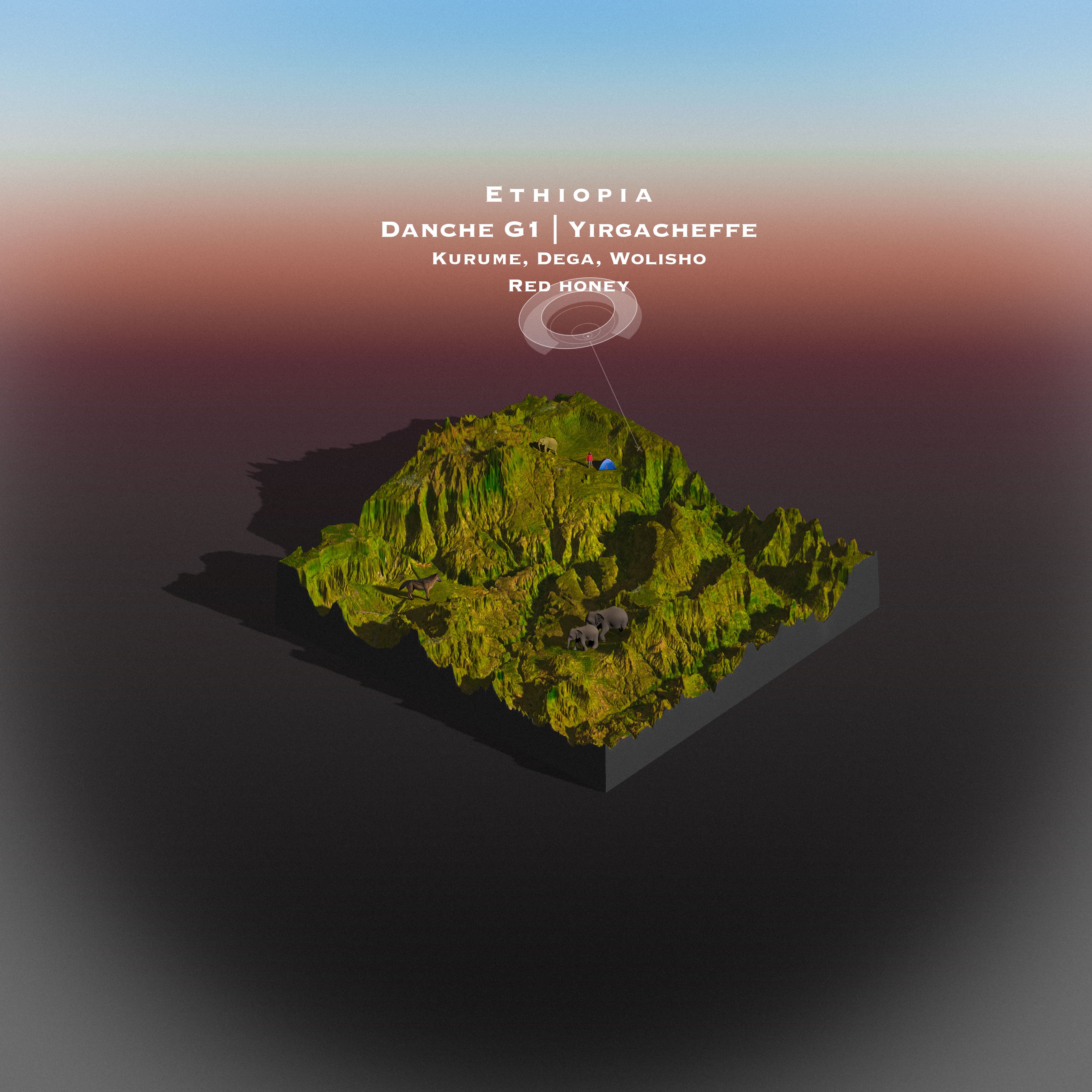 Ethiopia Danche Red Honey G1 | Yirgacheffee （ Single Origin Filter )