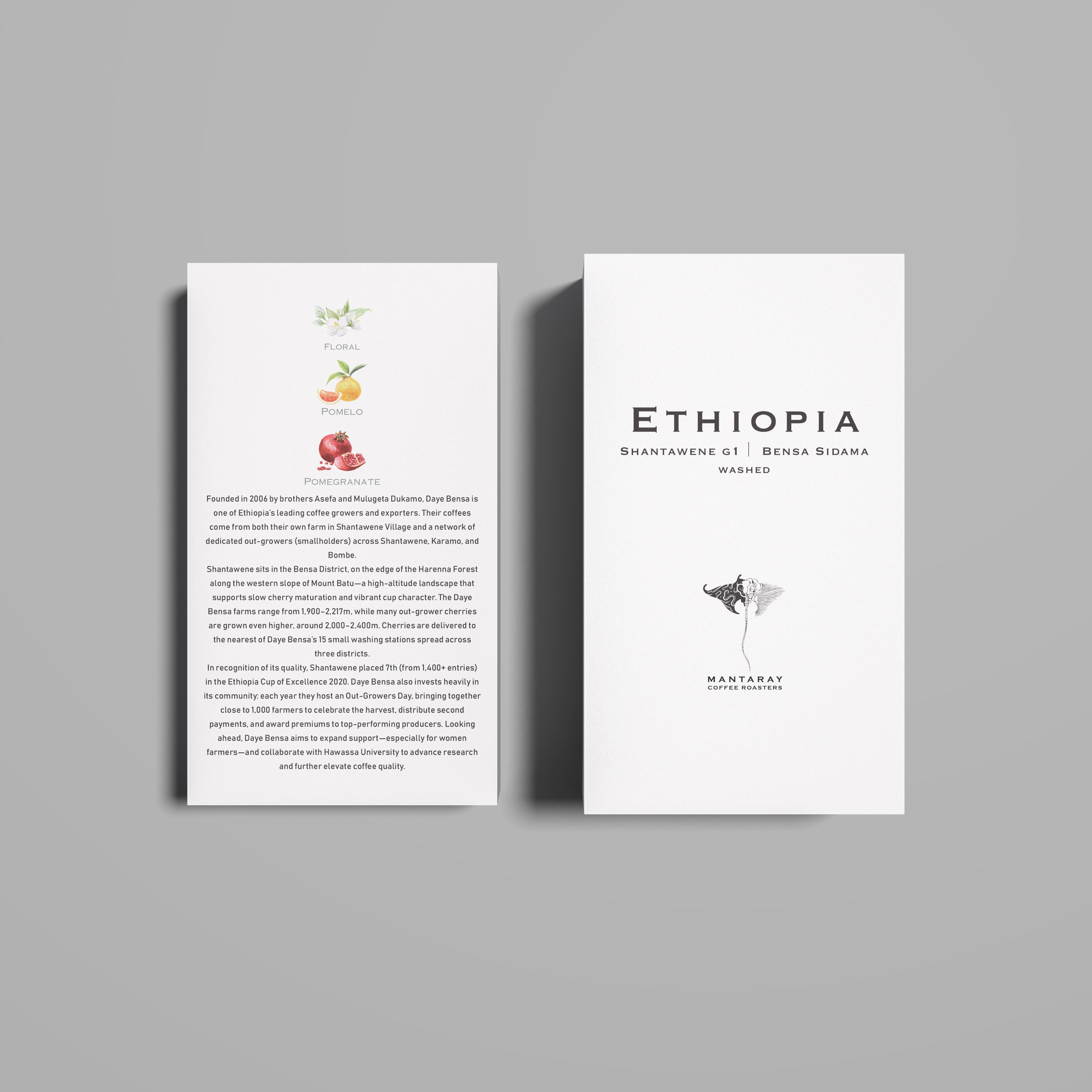 Ethiopia Shantawene Washed G1 | Bensa Sidama | (Single Origin Filter)