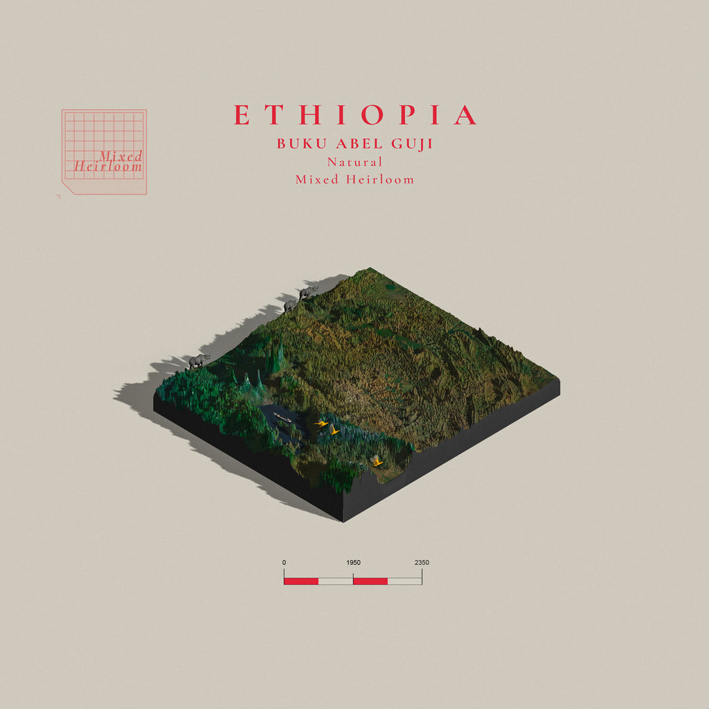 Ethiopia Buku Abel G1 Natural | Guji | (Single Origin Espresso)