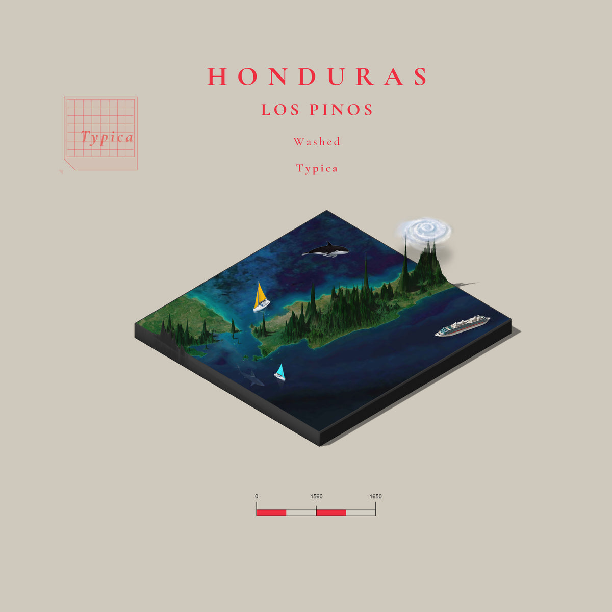 Honduras Los Pinos Typica Washed (Single Origin Filter)
