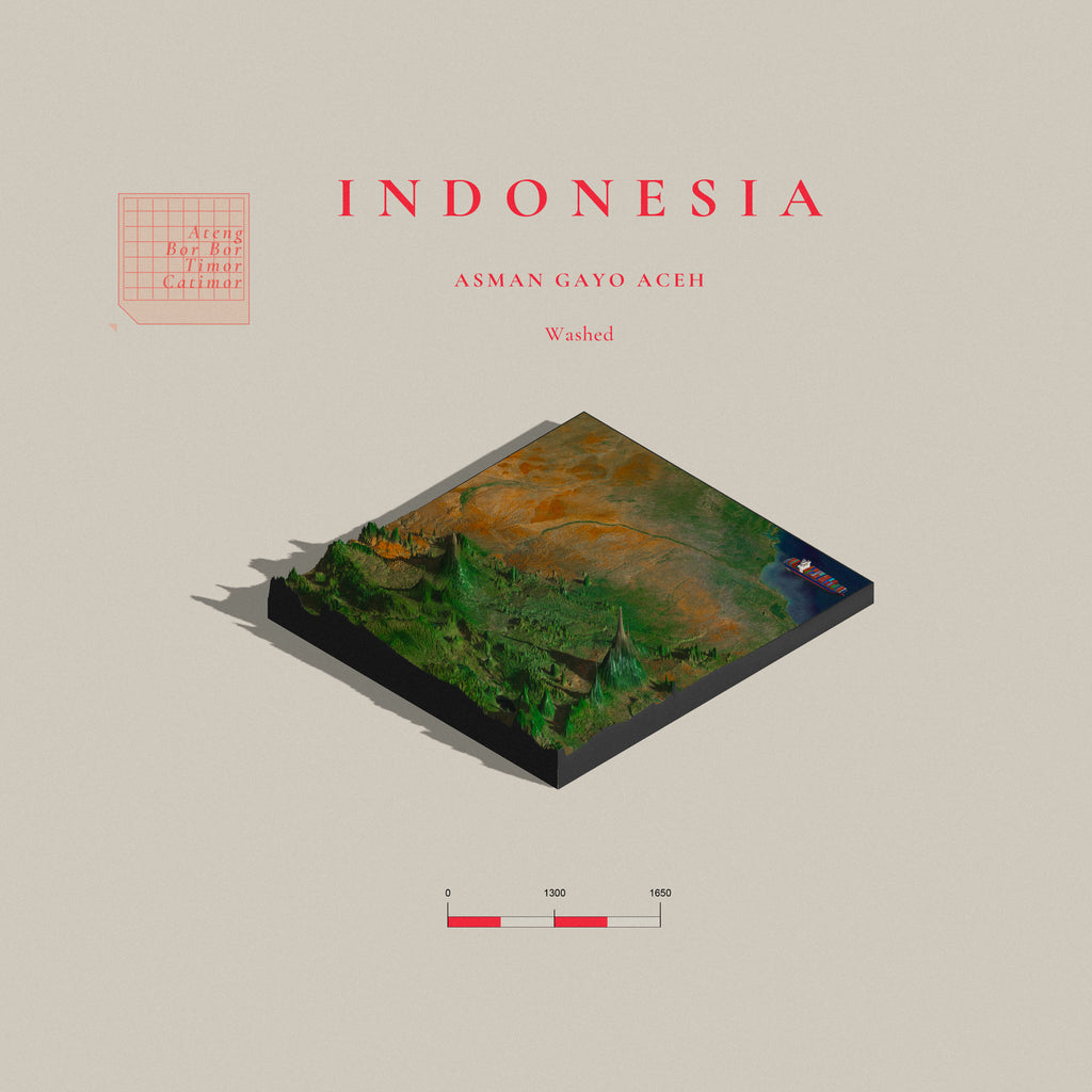 Indonesia Asman Gayo | Aceh Washed (Single Origin Espresso)