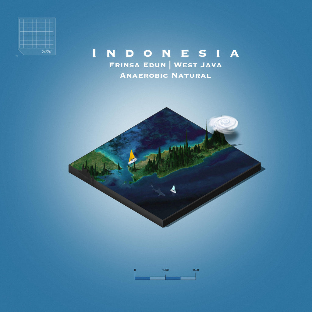 Indonesia Frinsa Edun | West Java Anaerobic Natural (Single Origin Filter)