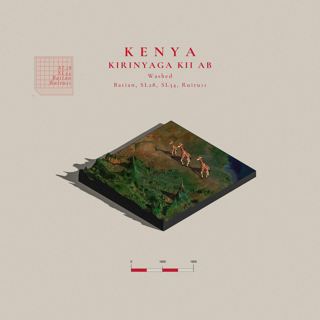 Kenya Kirinyaga Kii AB (Single Origin Espresso)