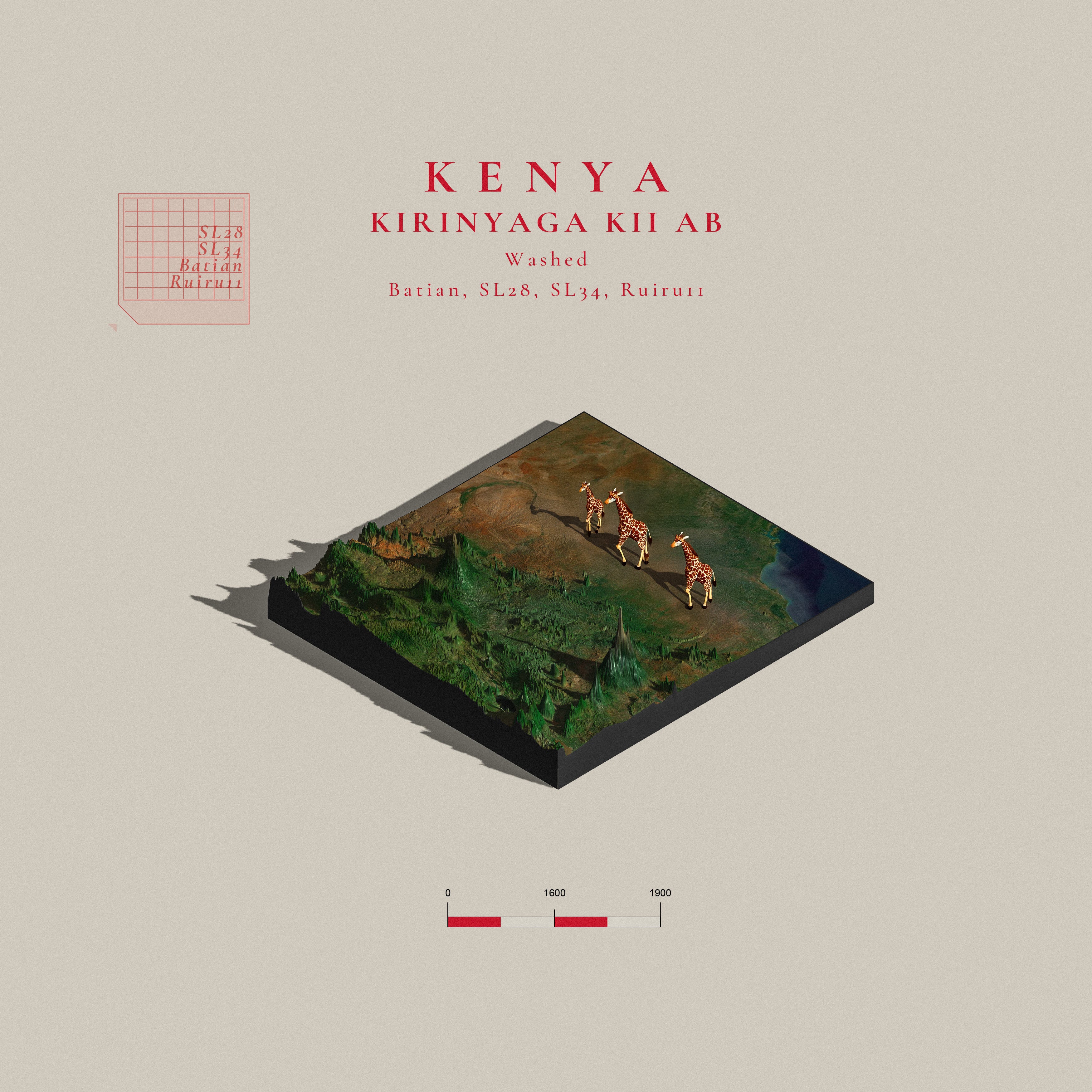 Kenya Kirinyaga Kii AB (Single Origin Espresso)