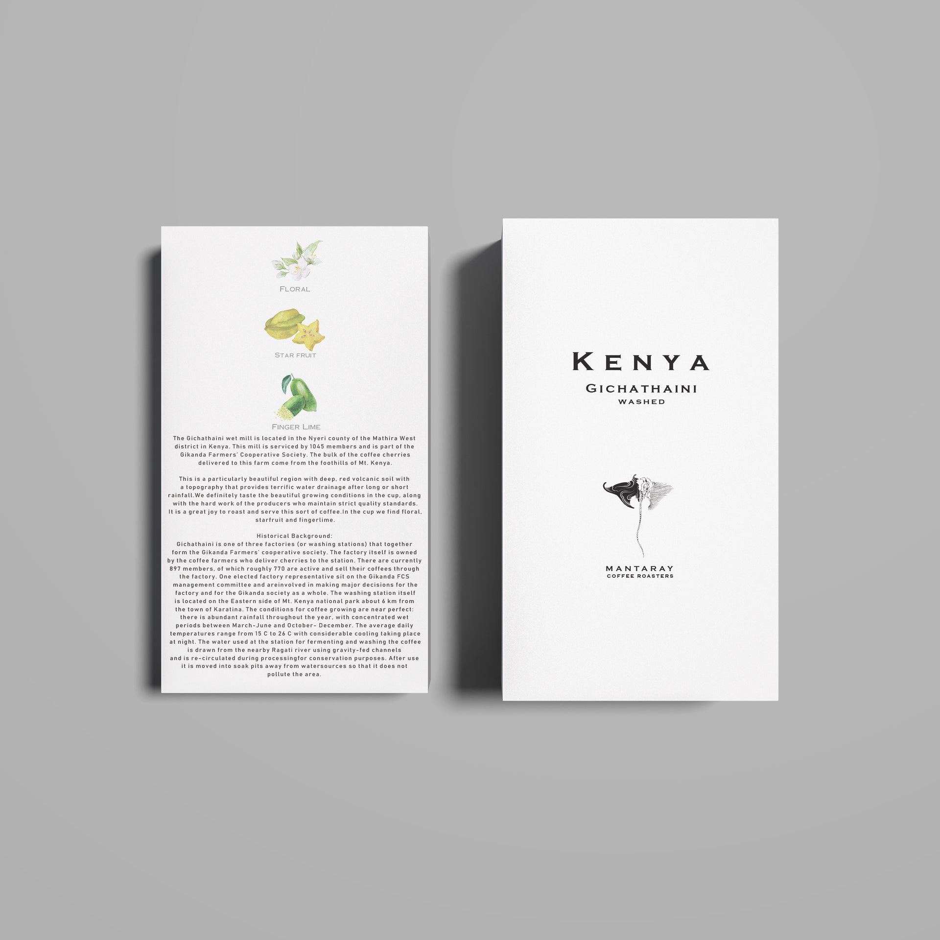 Photo of Kenya Gichathaini Washed (Single Origin Filter)