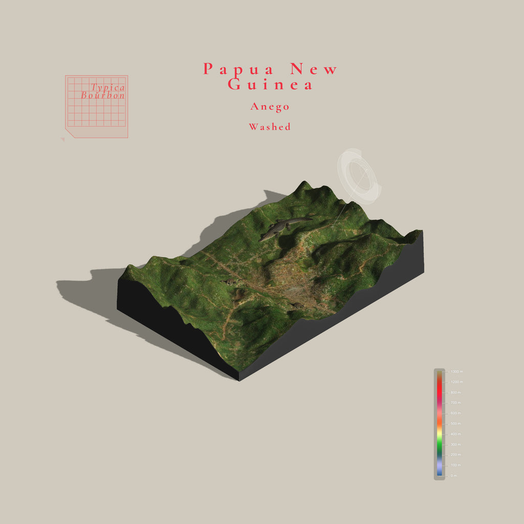 Papua New Guinea Anego Washed (Single Origin Espresso)
