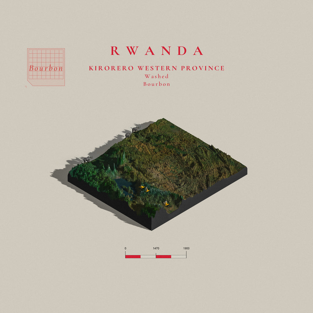 Rwanda Kirorero Washed  | Rutsiro District (Single Origin Espresso)
