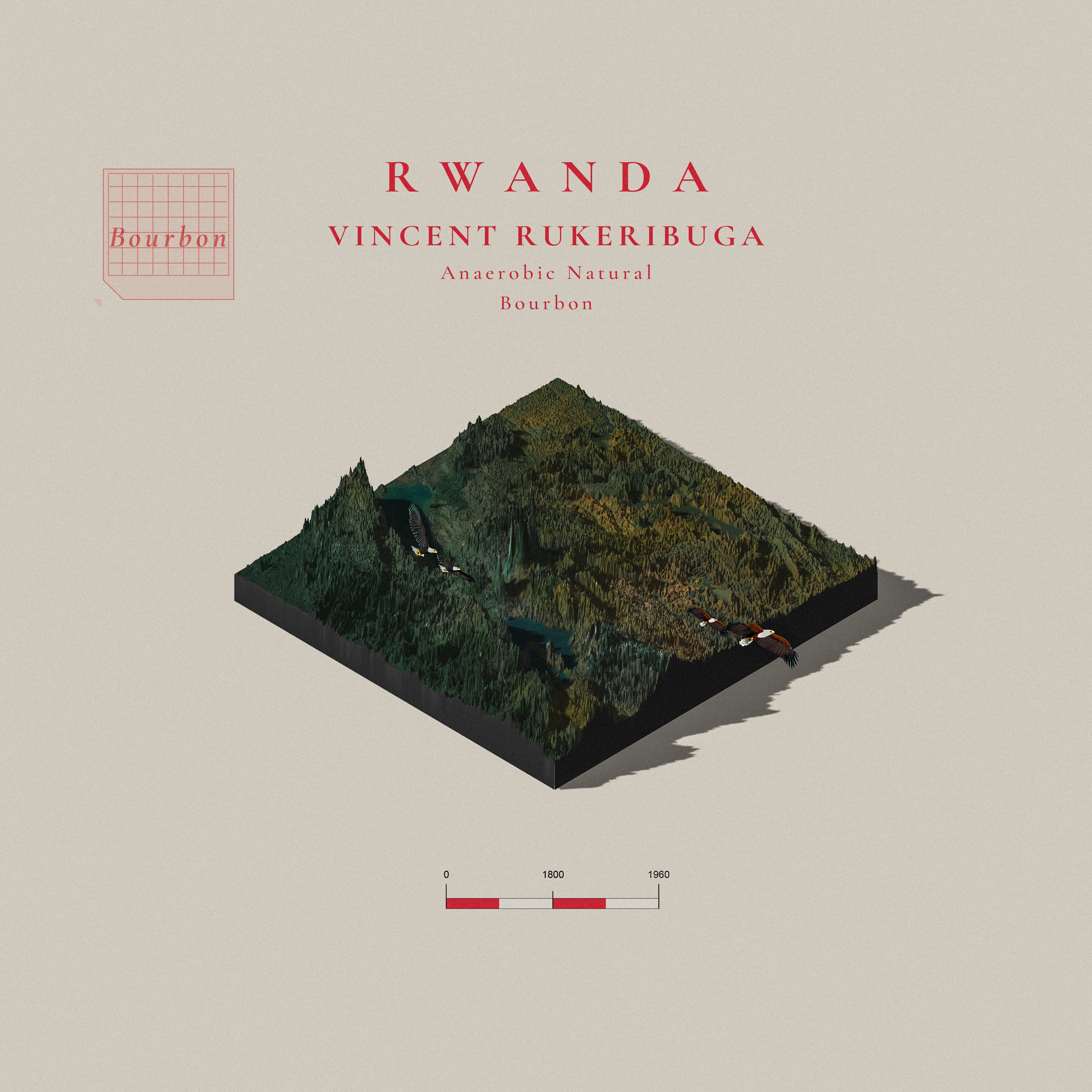 Rwanda Vincent Rukeribuga Anaerobic Natural | Western Province (Single Origin Filter)
